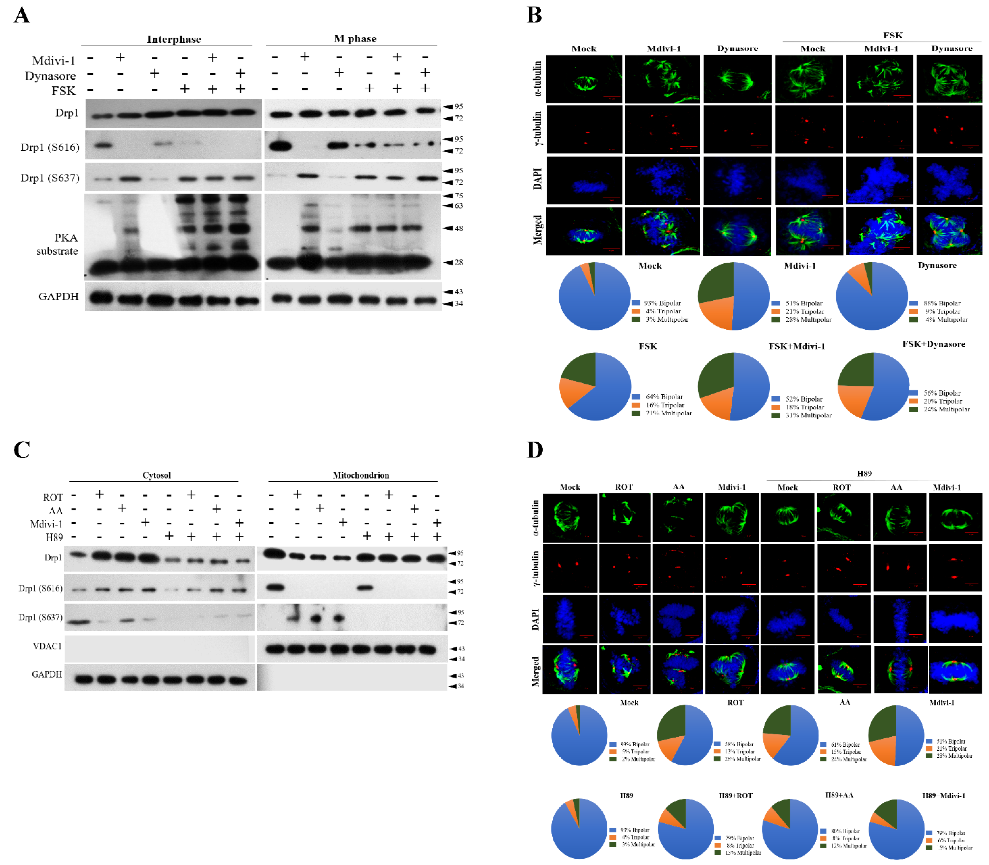 Biomolecules 11 00424 g005