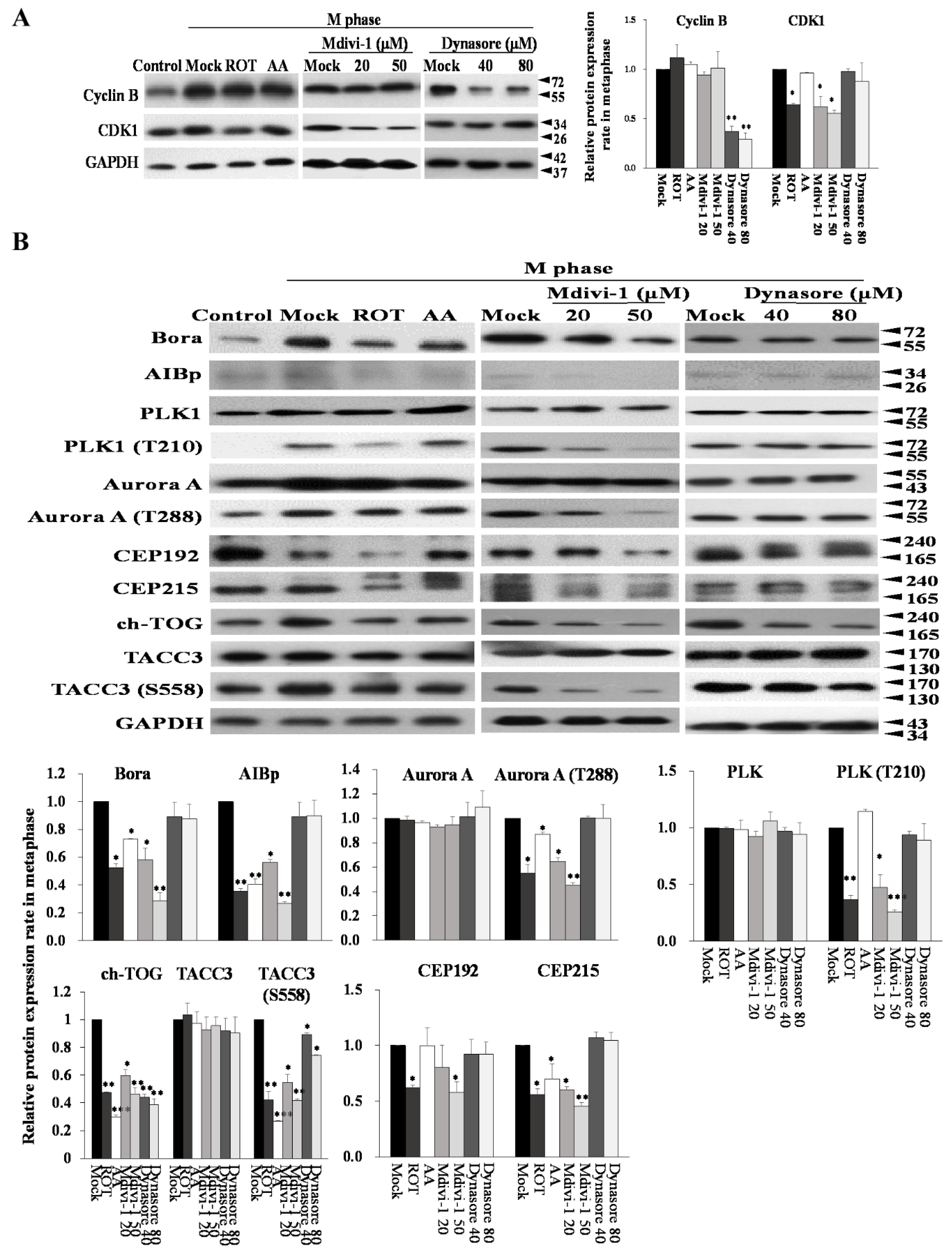 Biomolecules 11 00424 g007