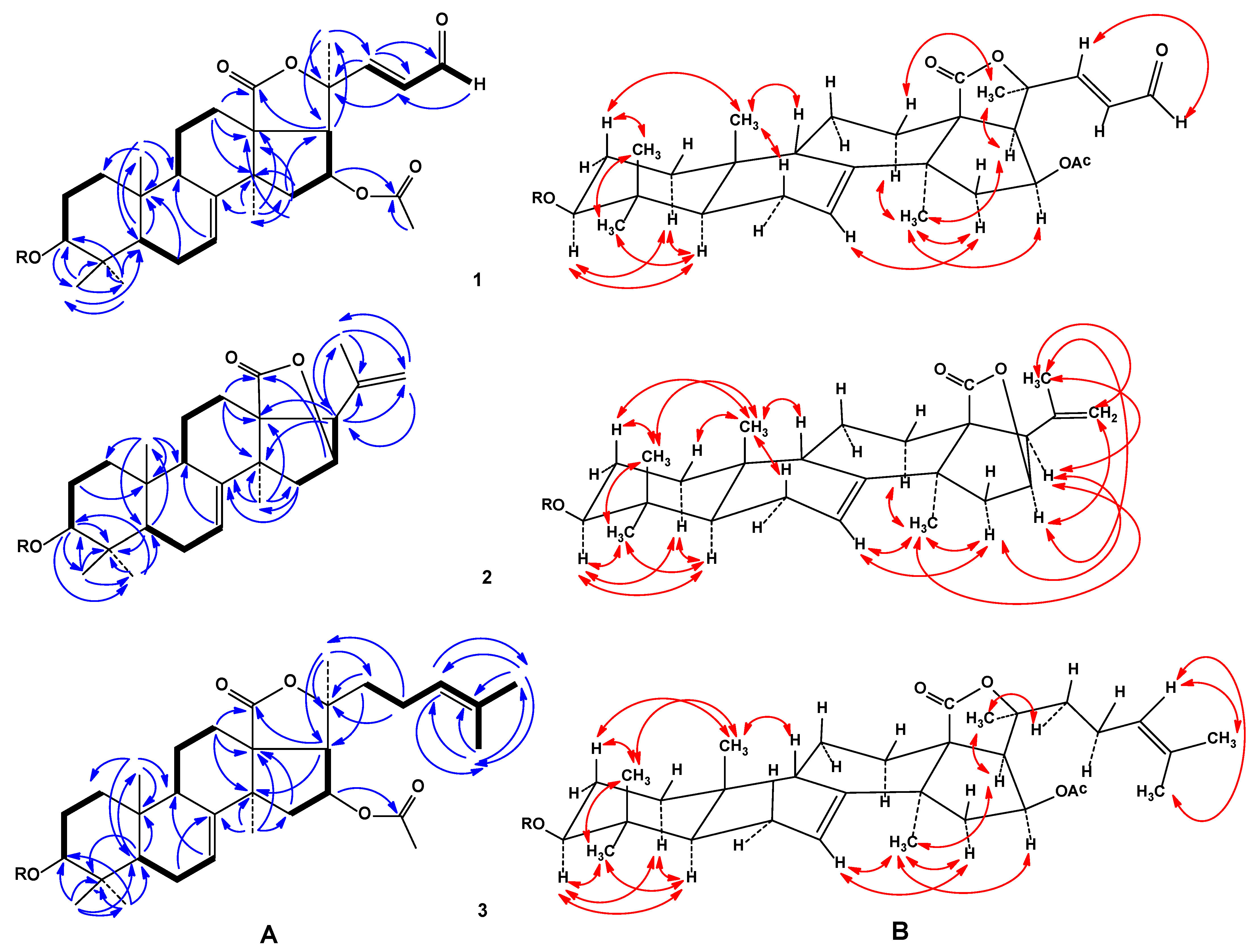 Biomolecules 11 00427 g002 Biomolecules 11 00427 g002