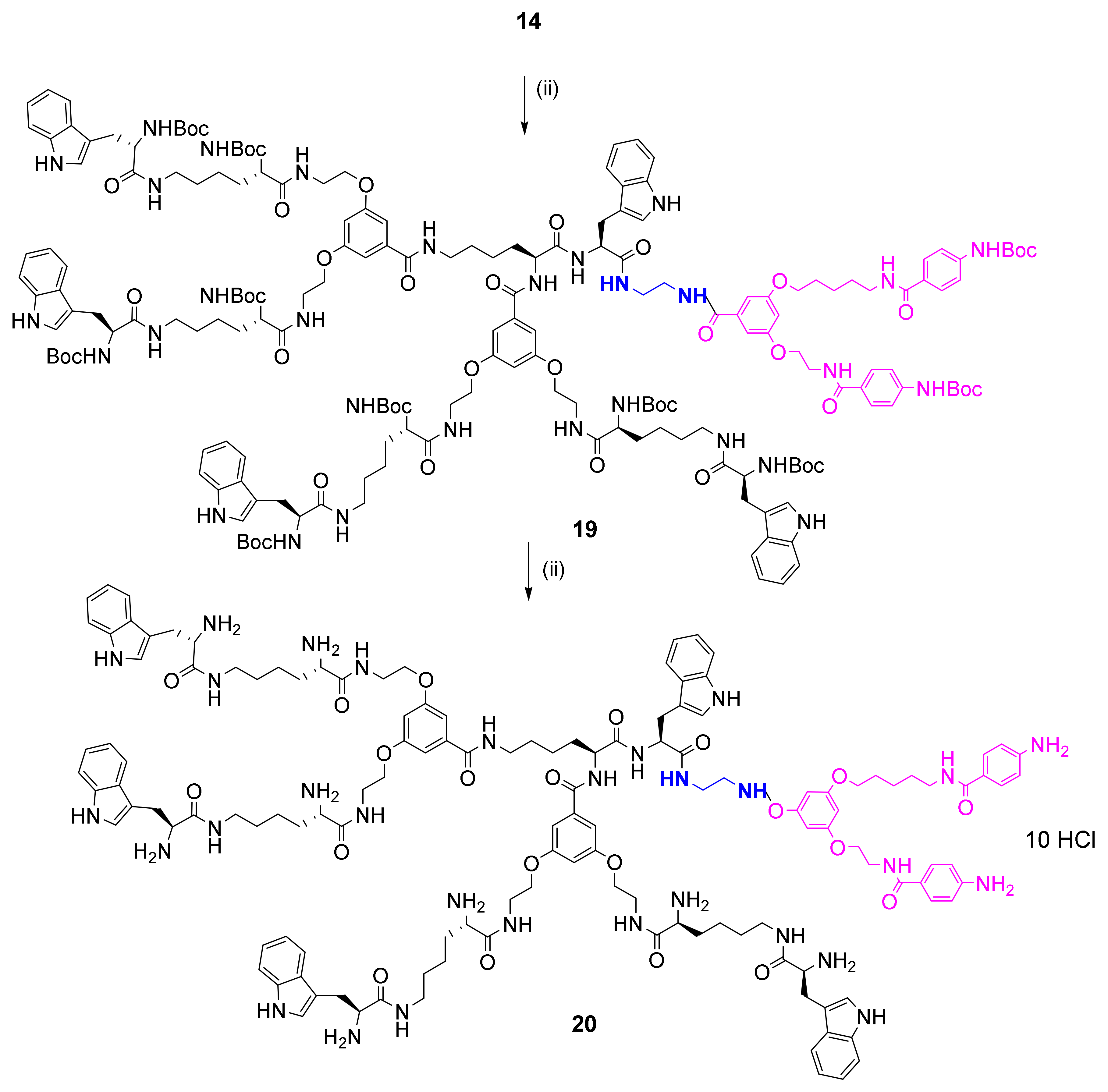 Biomolecules 11 00435 sch005 Biomolecules 11 00435 sch005