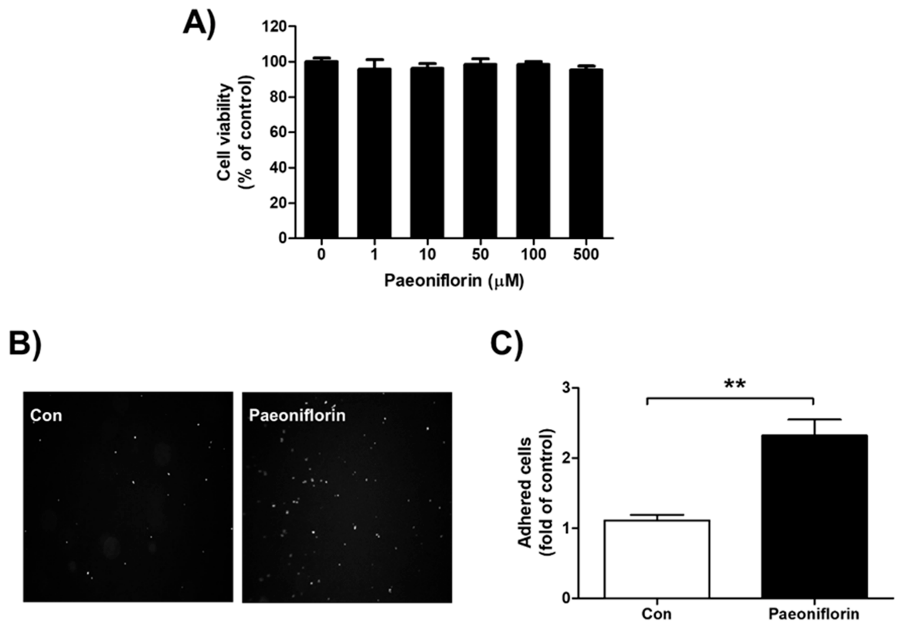 Biomolecules 11 00439 g003 Biomolecules 11 00439 g003