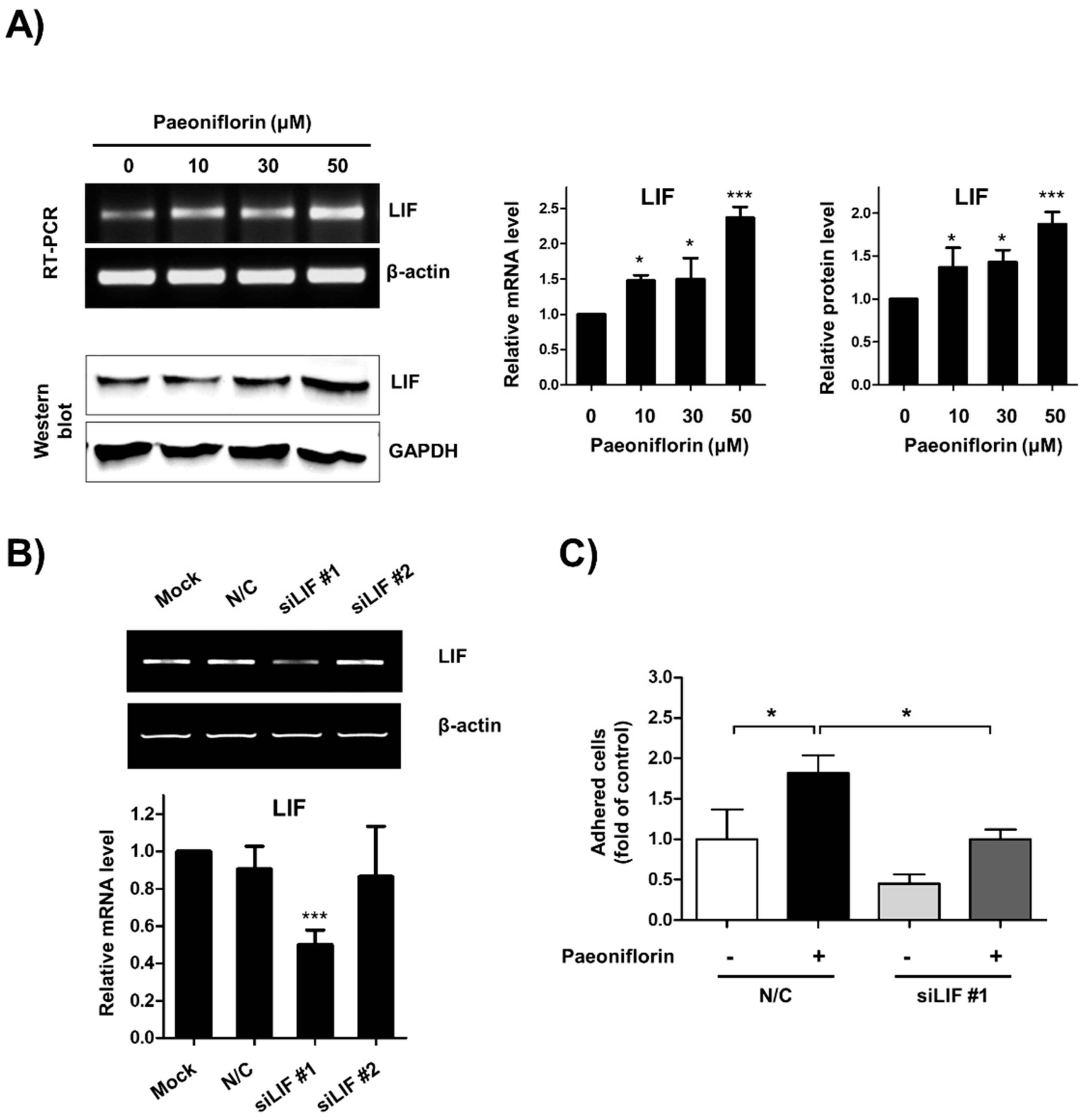 Biomolecules 11 00439 g004 Biomolecules 11 00439 g004