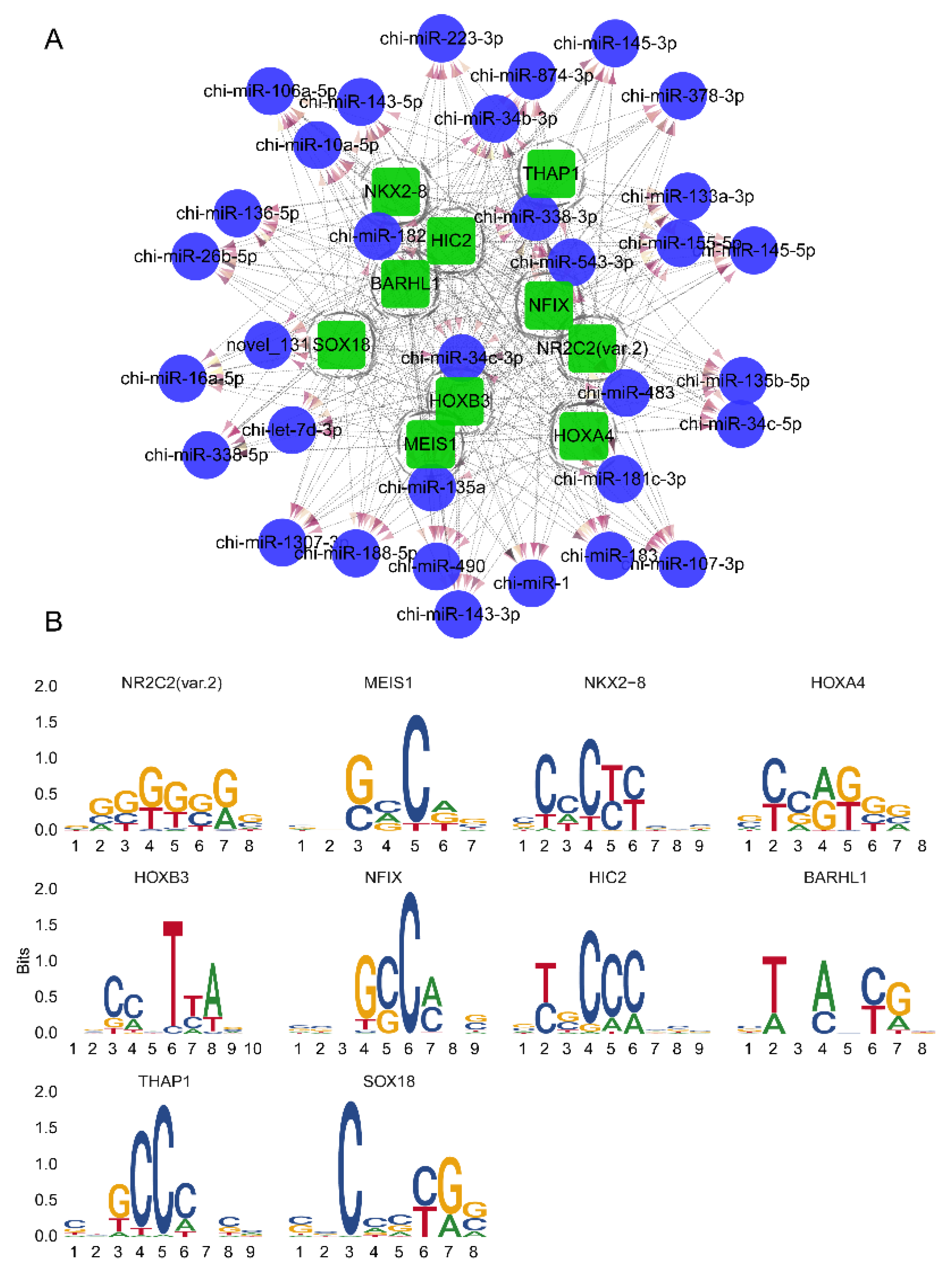 Biomolecules 11 00472 g004