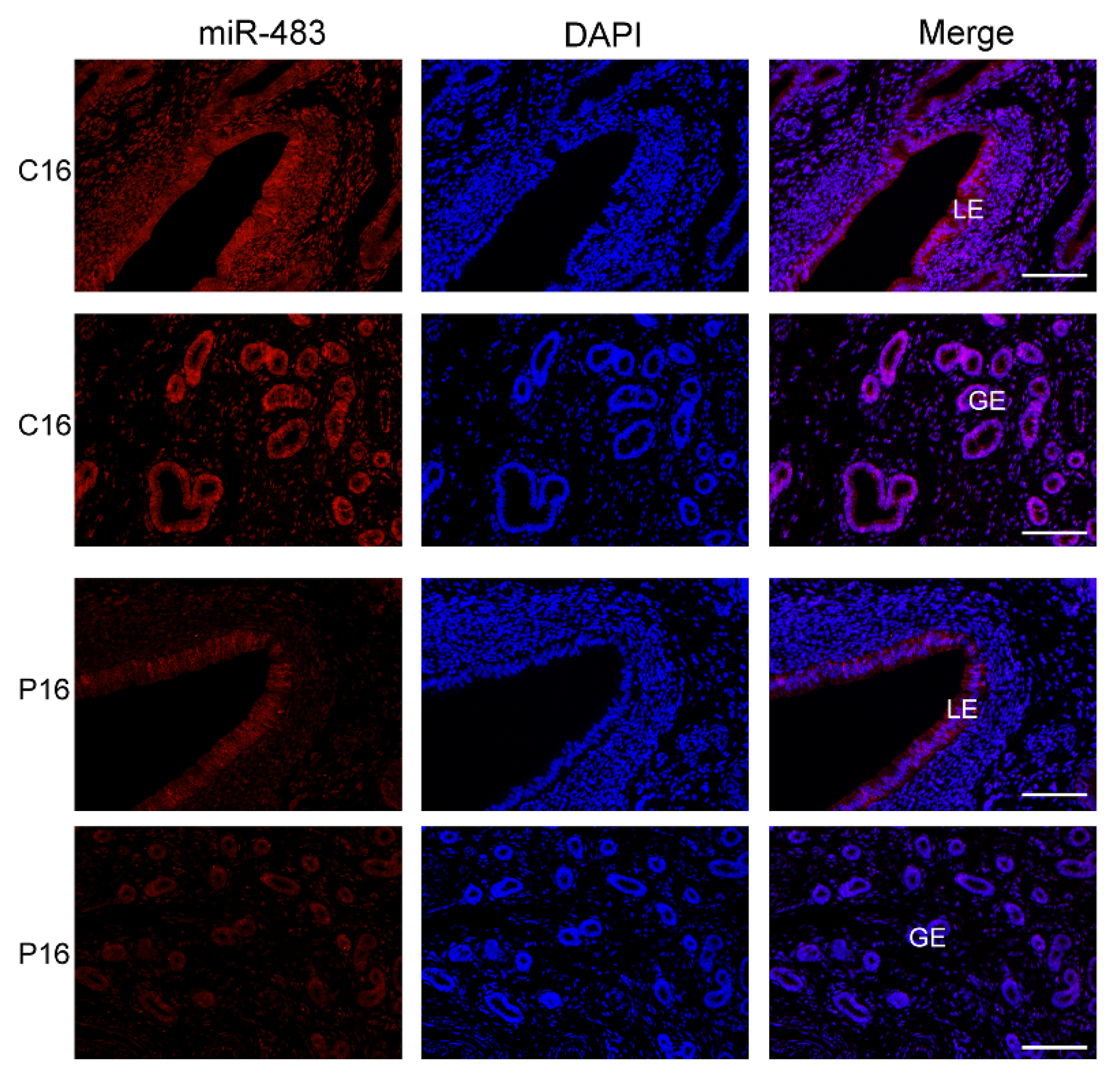 Biomolecules 11 00472 g007