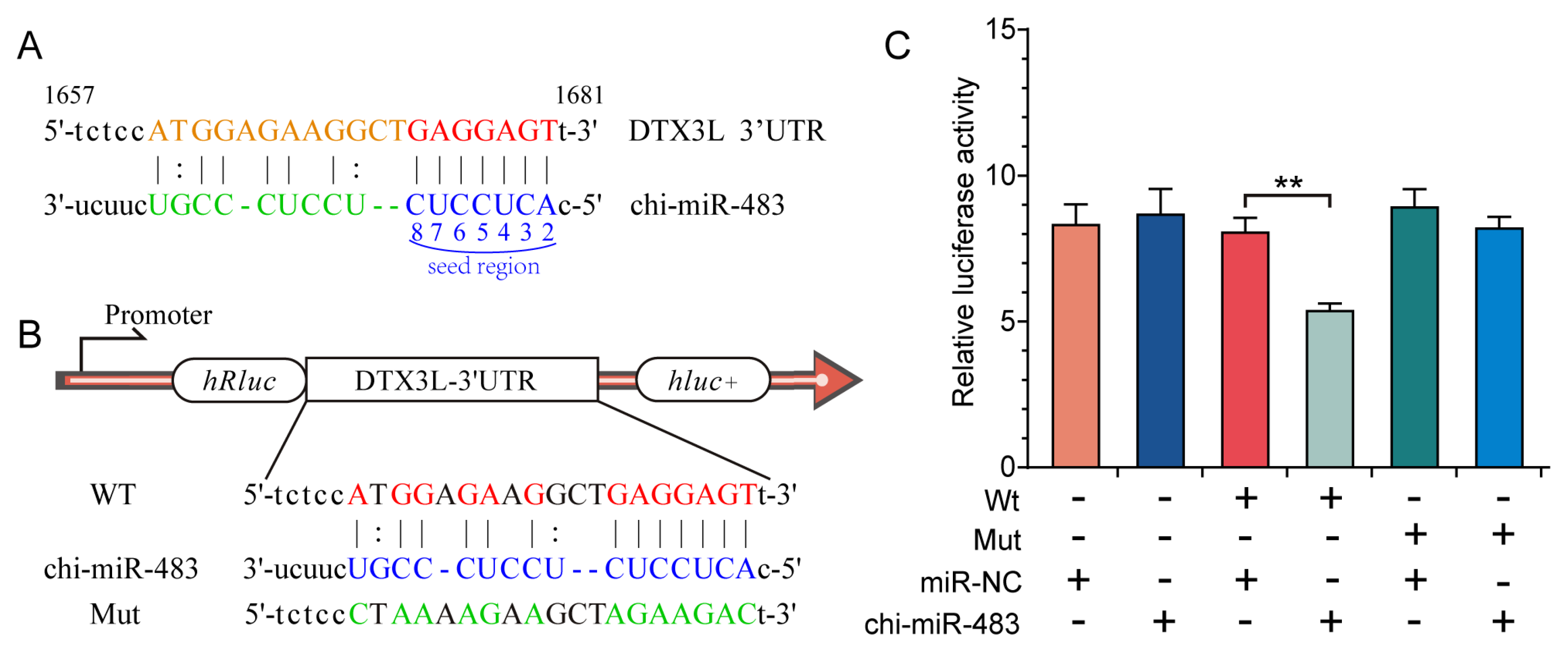 Biomolecules 11 00472 g008