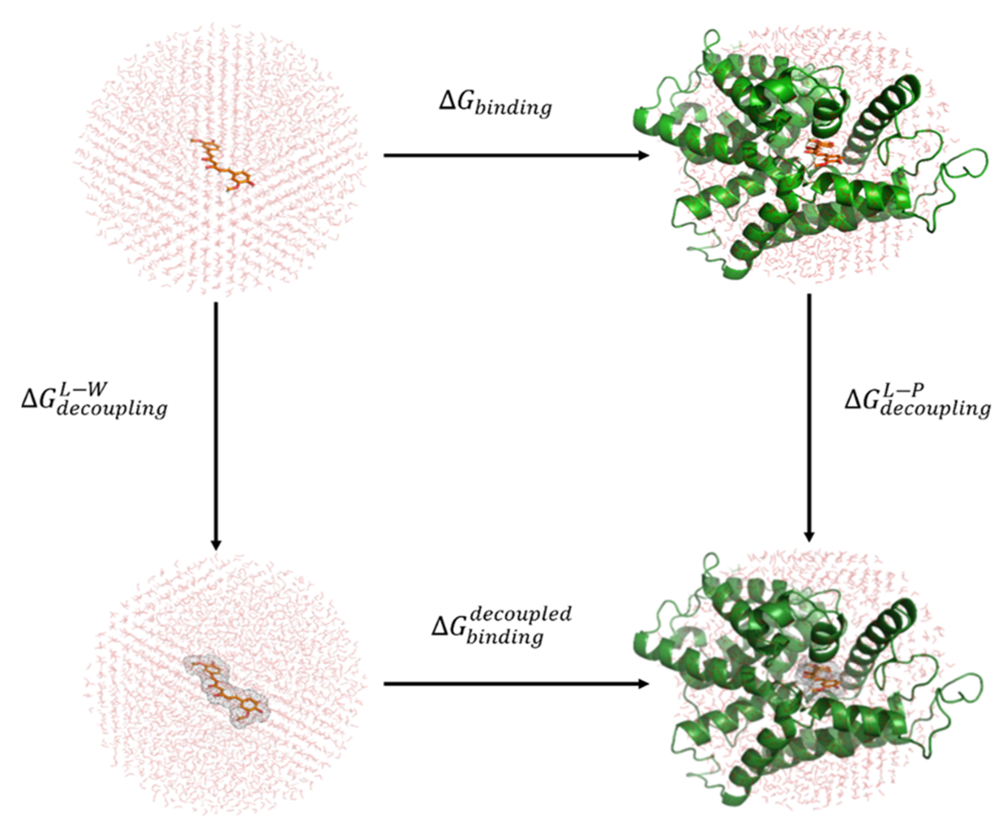 Biomolecules 11 00479 g002