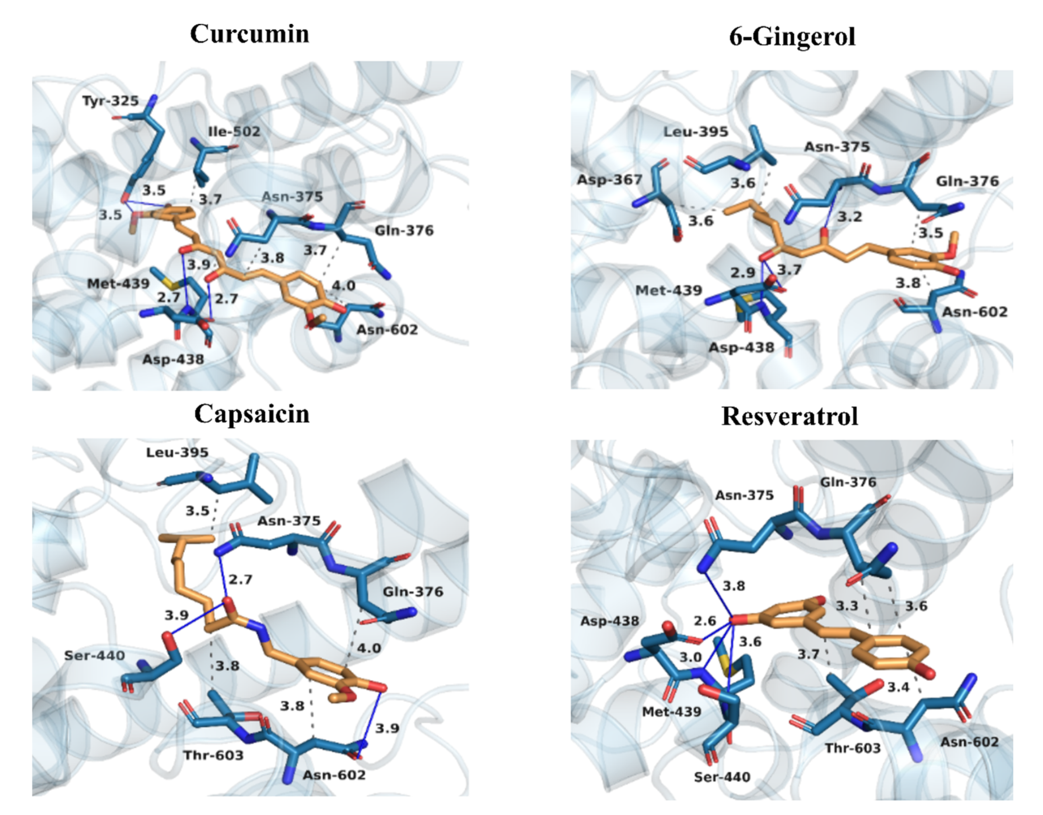 Biomolecules 11 00479 g005