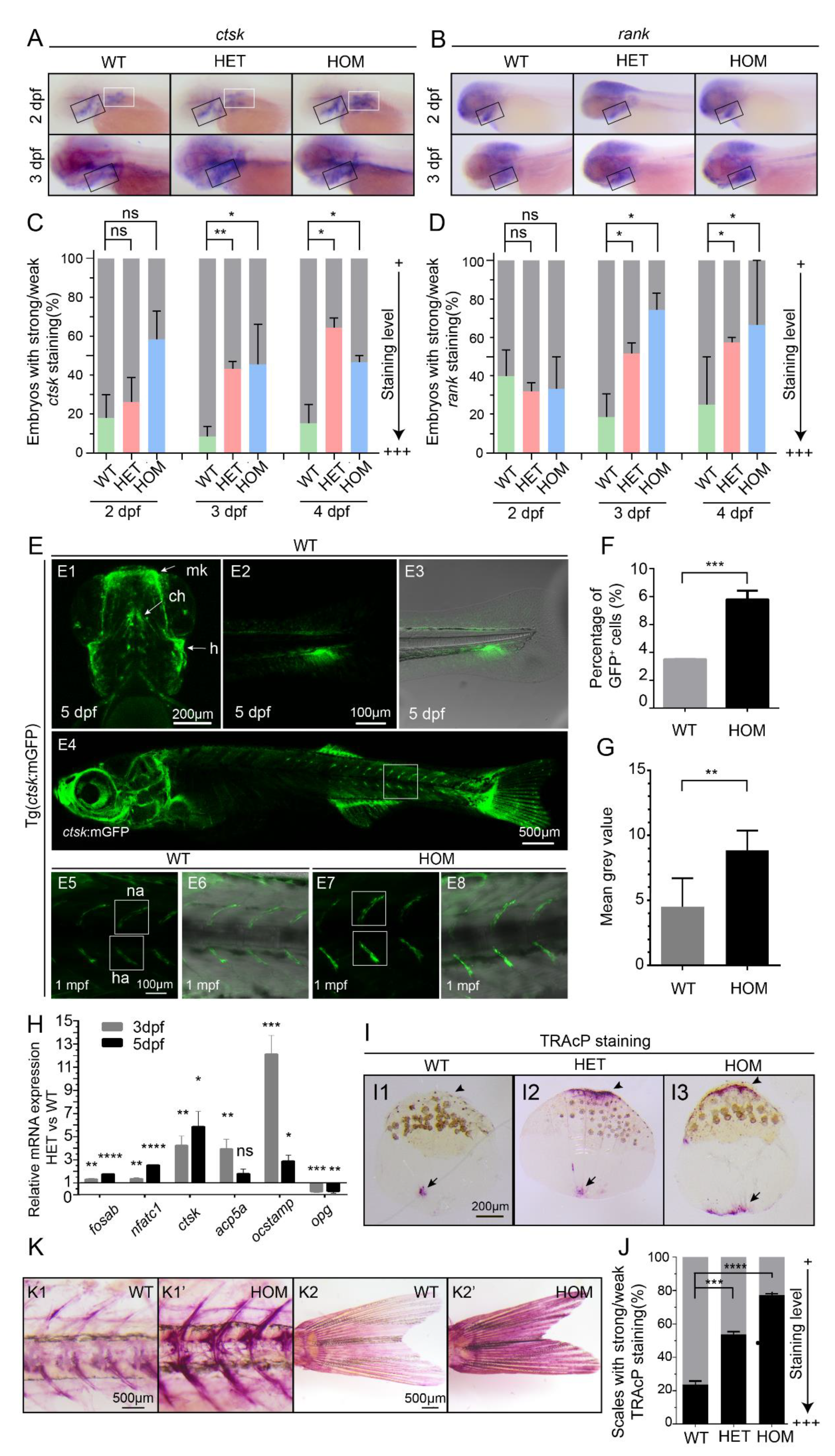 Biomolecules 11 00480 g002 Biomolecules 11 00480 g002