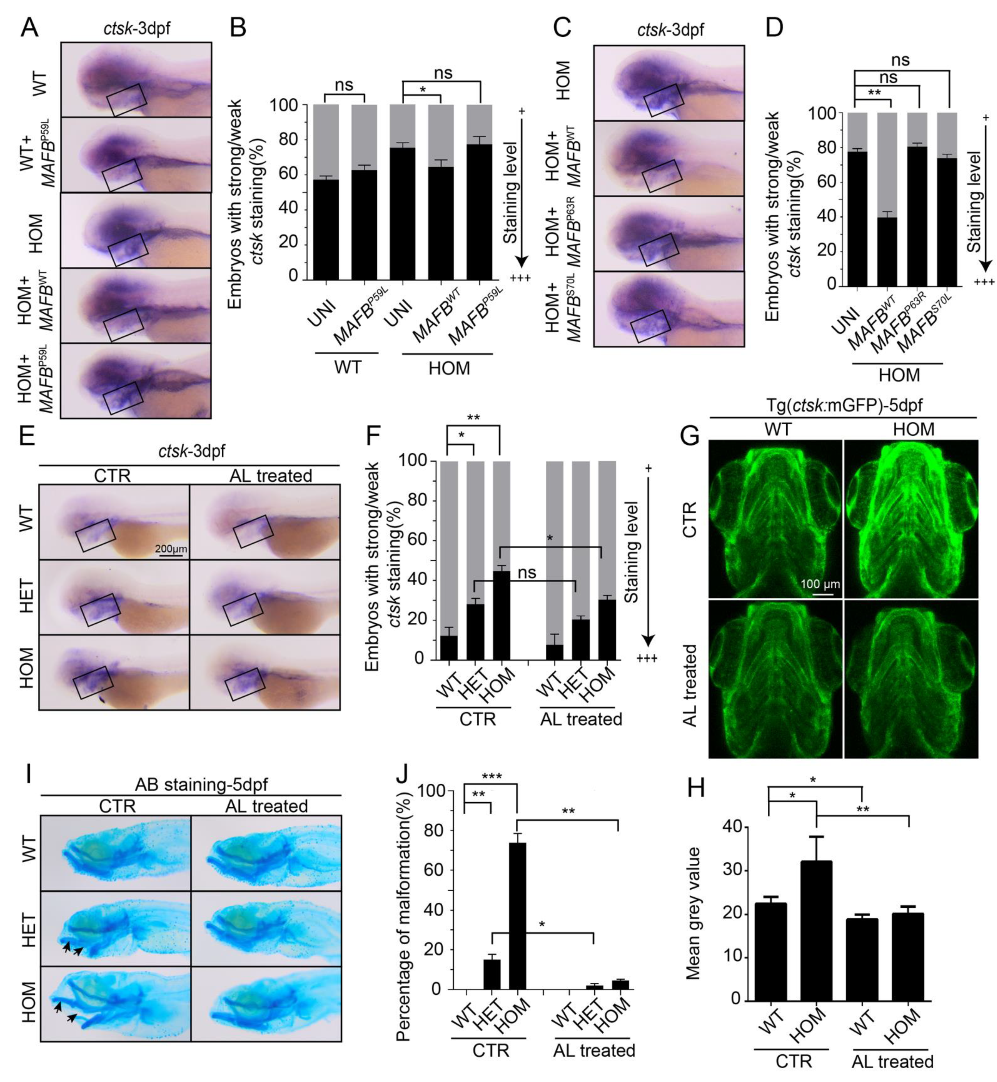 Biomolecules 11 00480 g006 Biomolecules 11 00480 g006