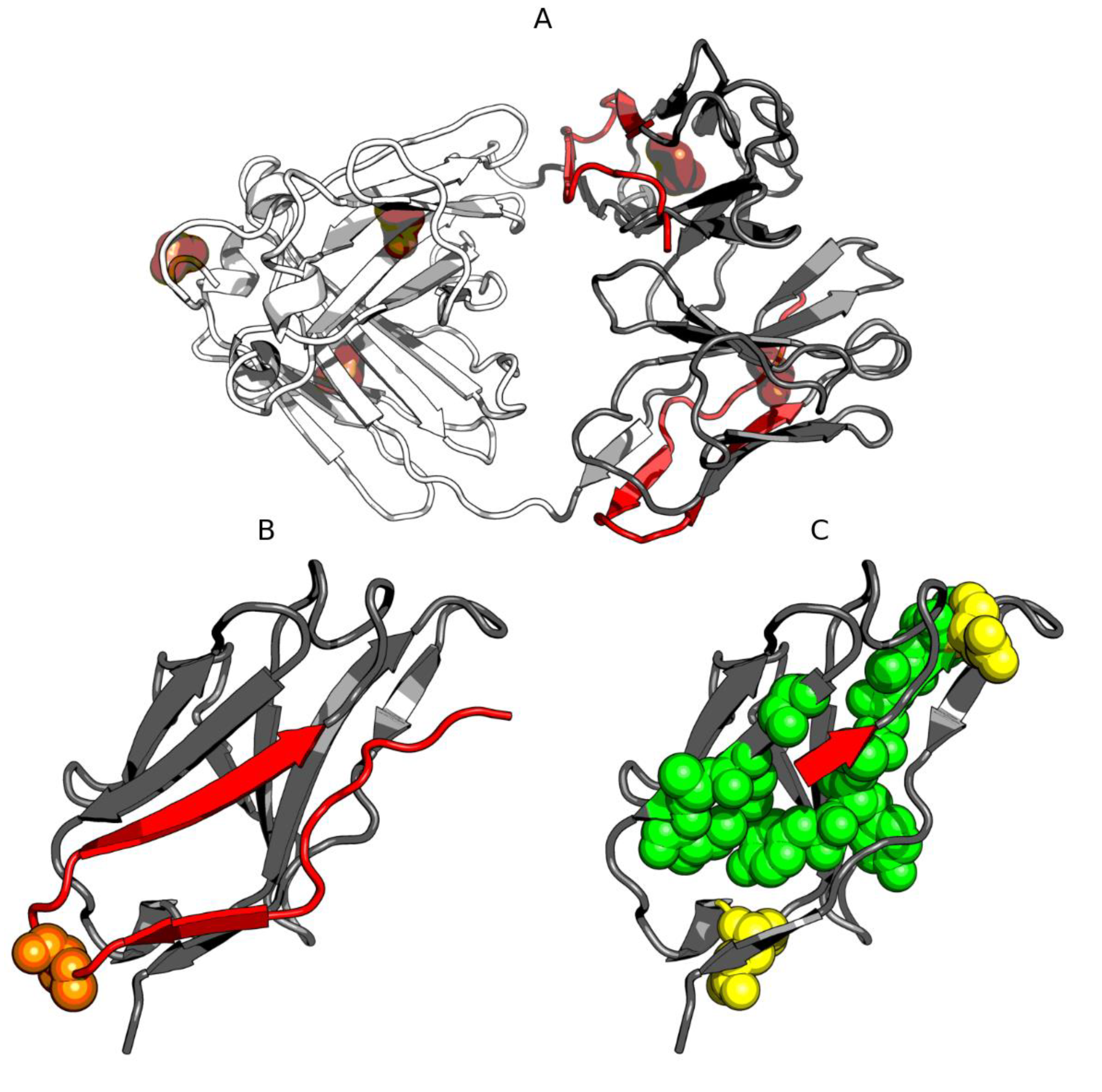 Biomolecules 11 00501 g011 Biomolecules 11 00501 g011