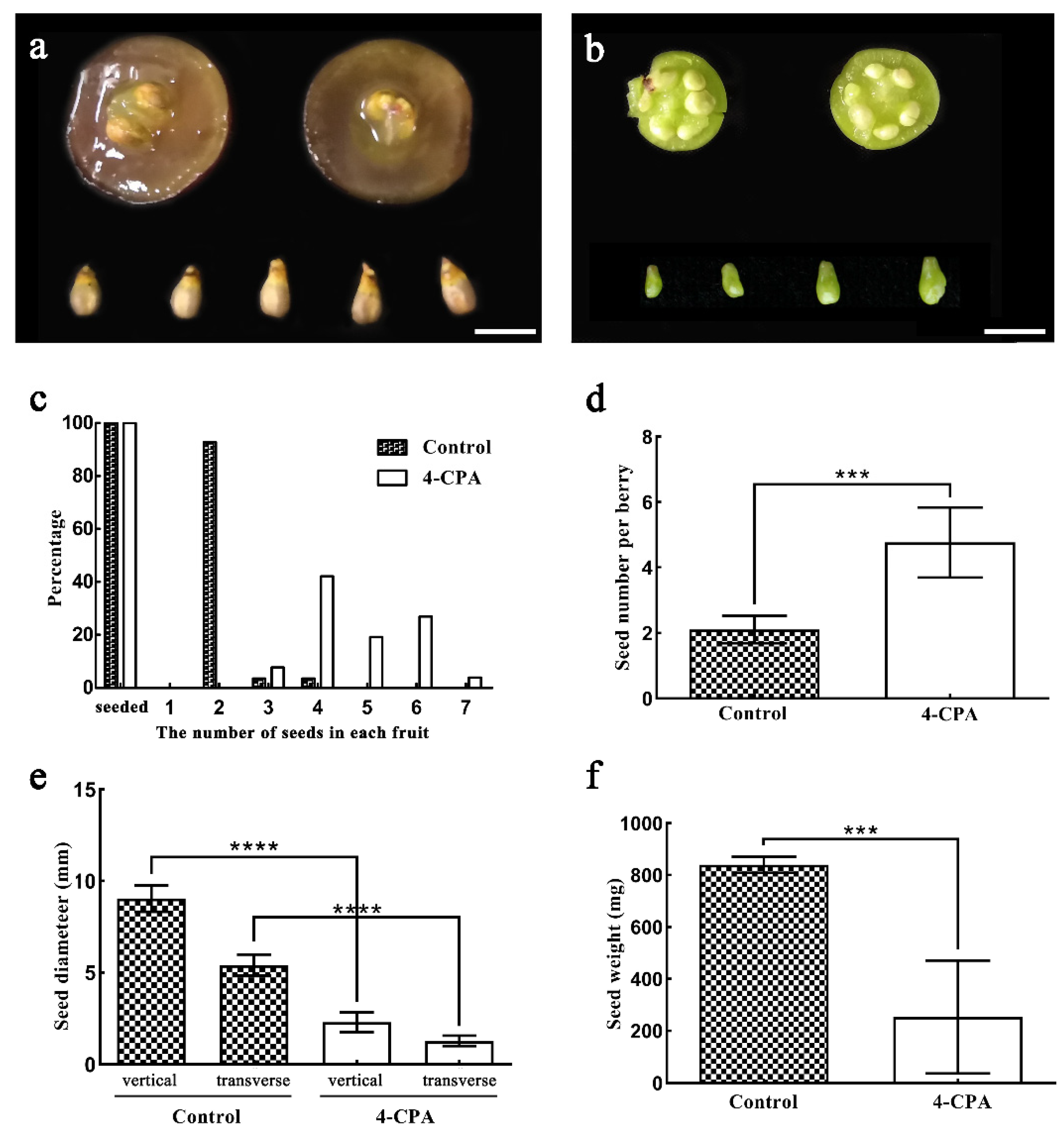 Biomolecules 11 00515 g002 Biomolecules 11 00515 g002