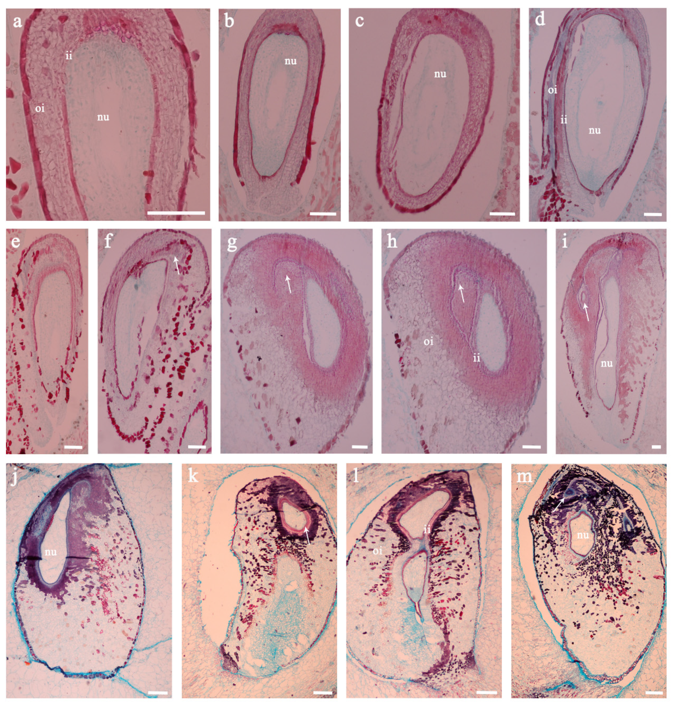 Biomolecules 11 00515 g004 Biomolecules 11 00515 g004