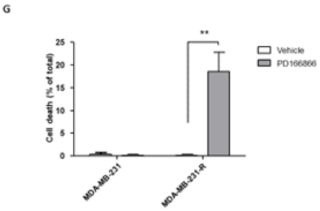 Biomolecules 11 00527 g006b Biomolecules 11 00527 g006b