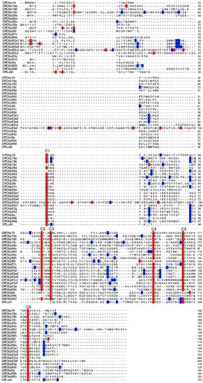 Biomolecules Free Full Text Antennal Enriched Odorant Binding Proteins Are Required For Odor Communication In Glossina F Fuscipes Html