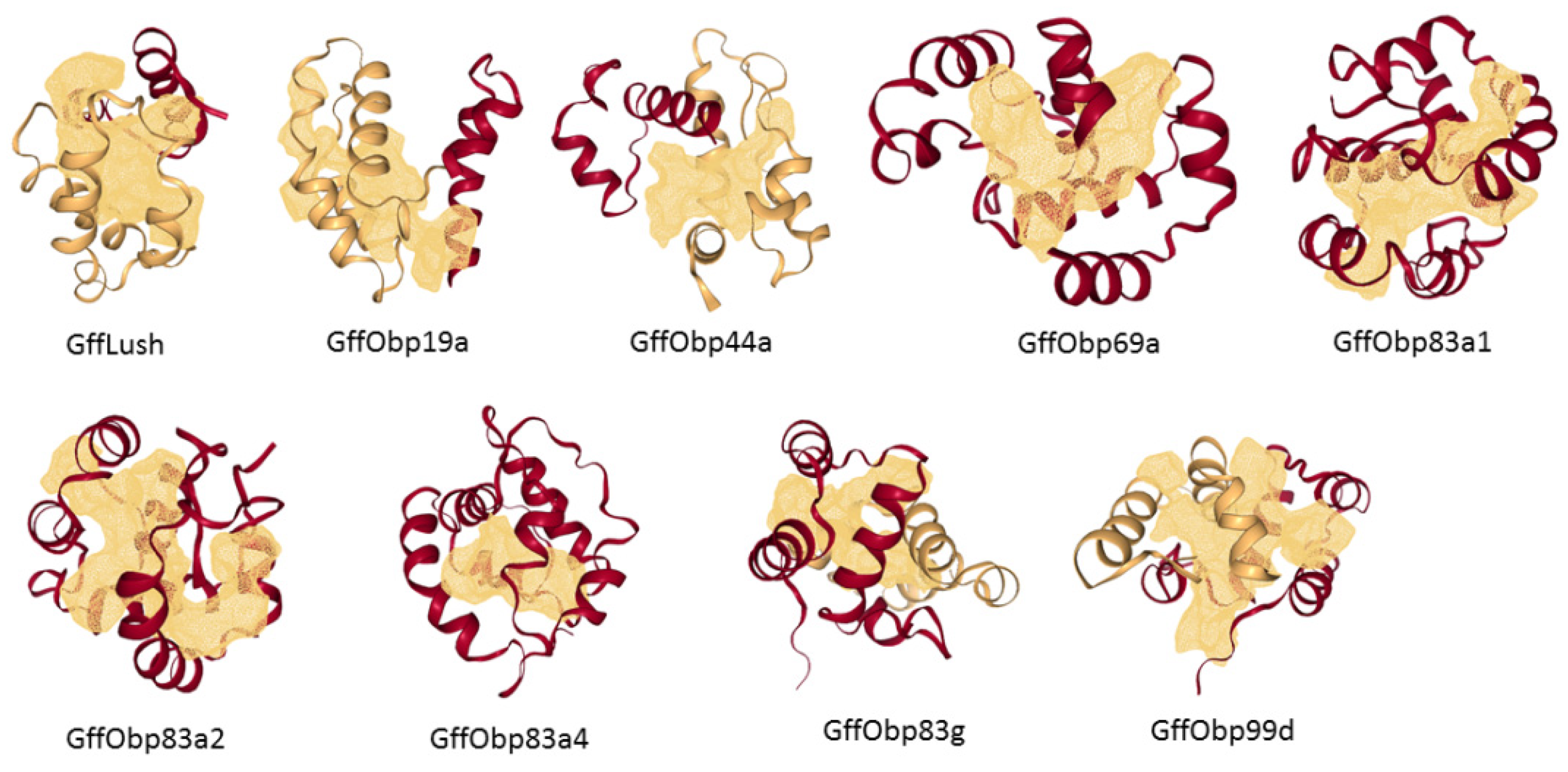 Biomolecules 11 00541 g002 Biomolecules 11 00541 g002