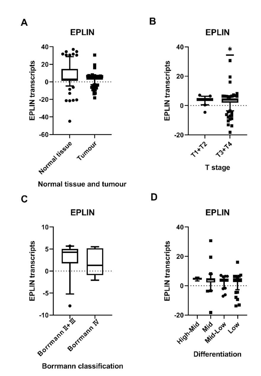 Biomolecules 11 00547 g001 Biomolecules 11 00547 g001