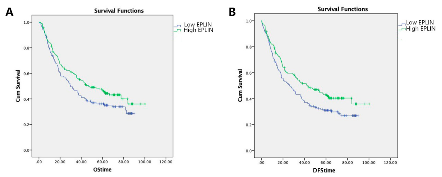 Biomolecules 11 00547 g002 Biomolecules 11 00547 g002