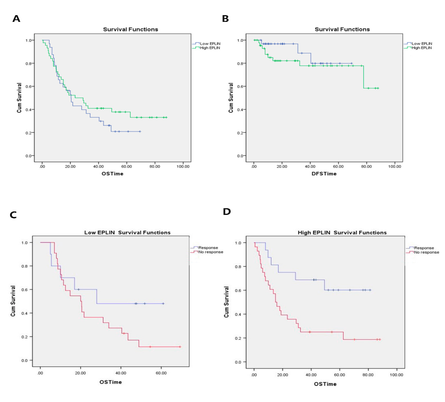 Biomolecules 11 00547 g005 Biomolecules 11 00547 g005