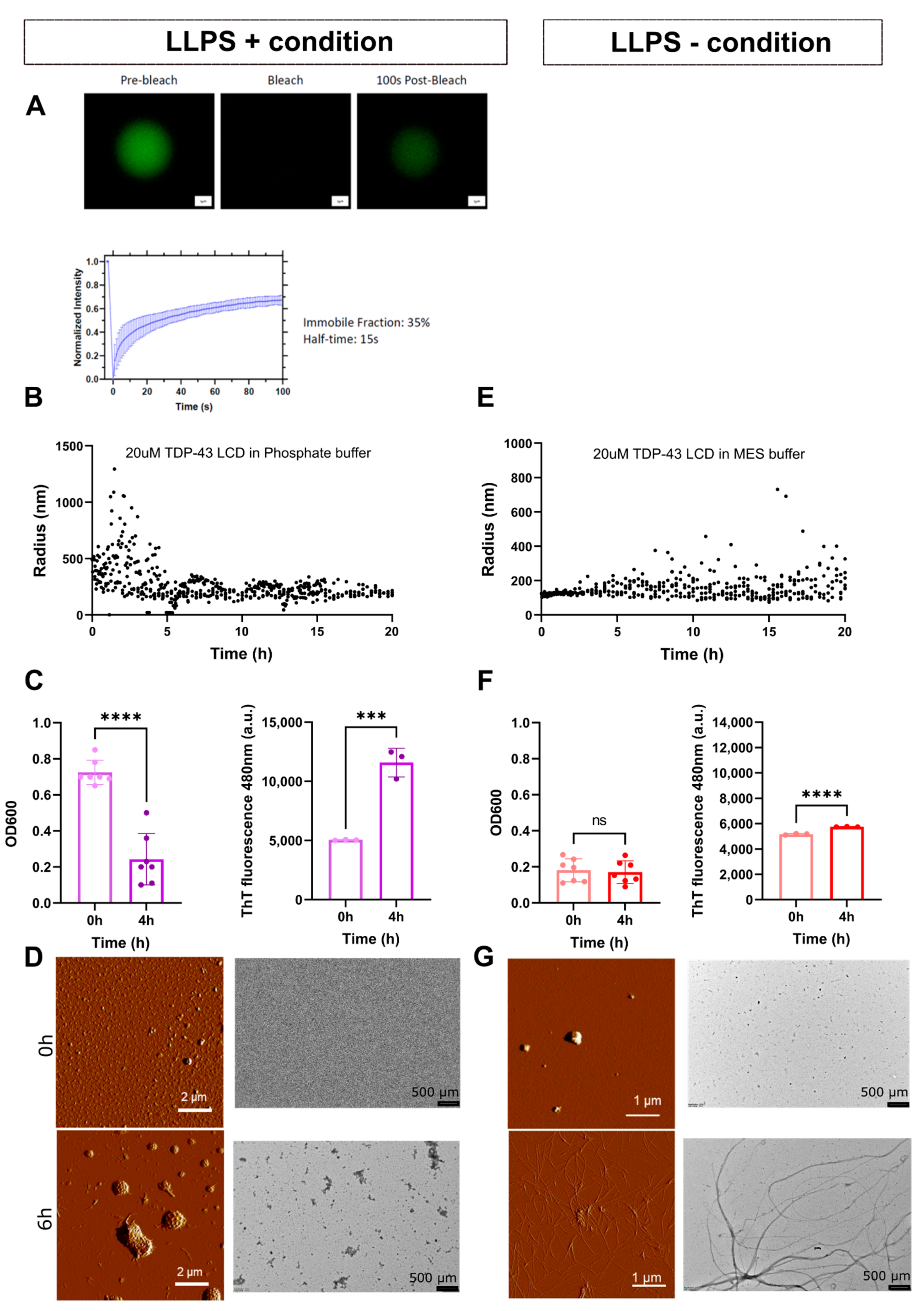 Biomolecules 11 00548 g001