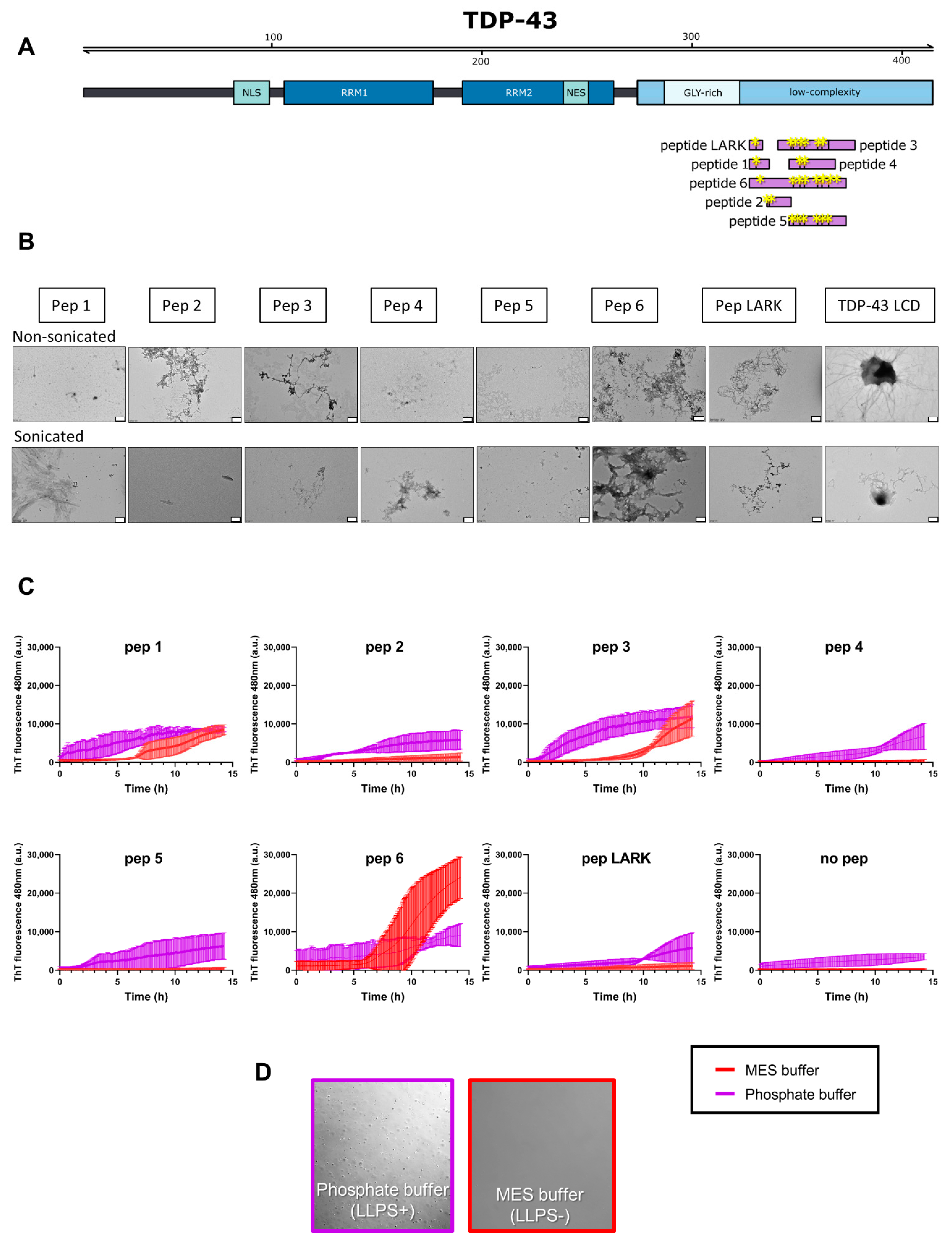 Biomolecules 11 00548 g004