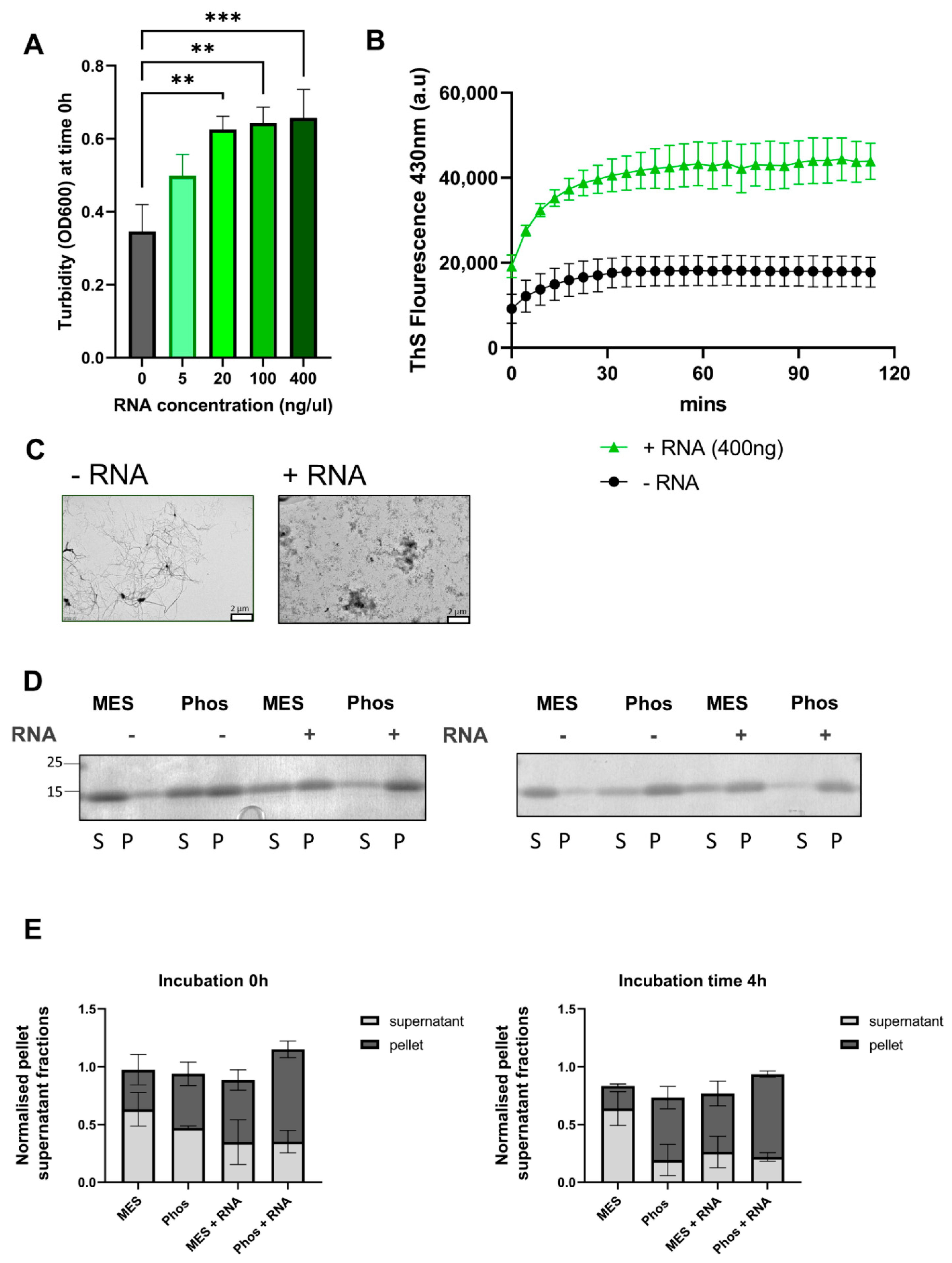 Biomolecules 11 00548 g006