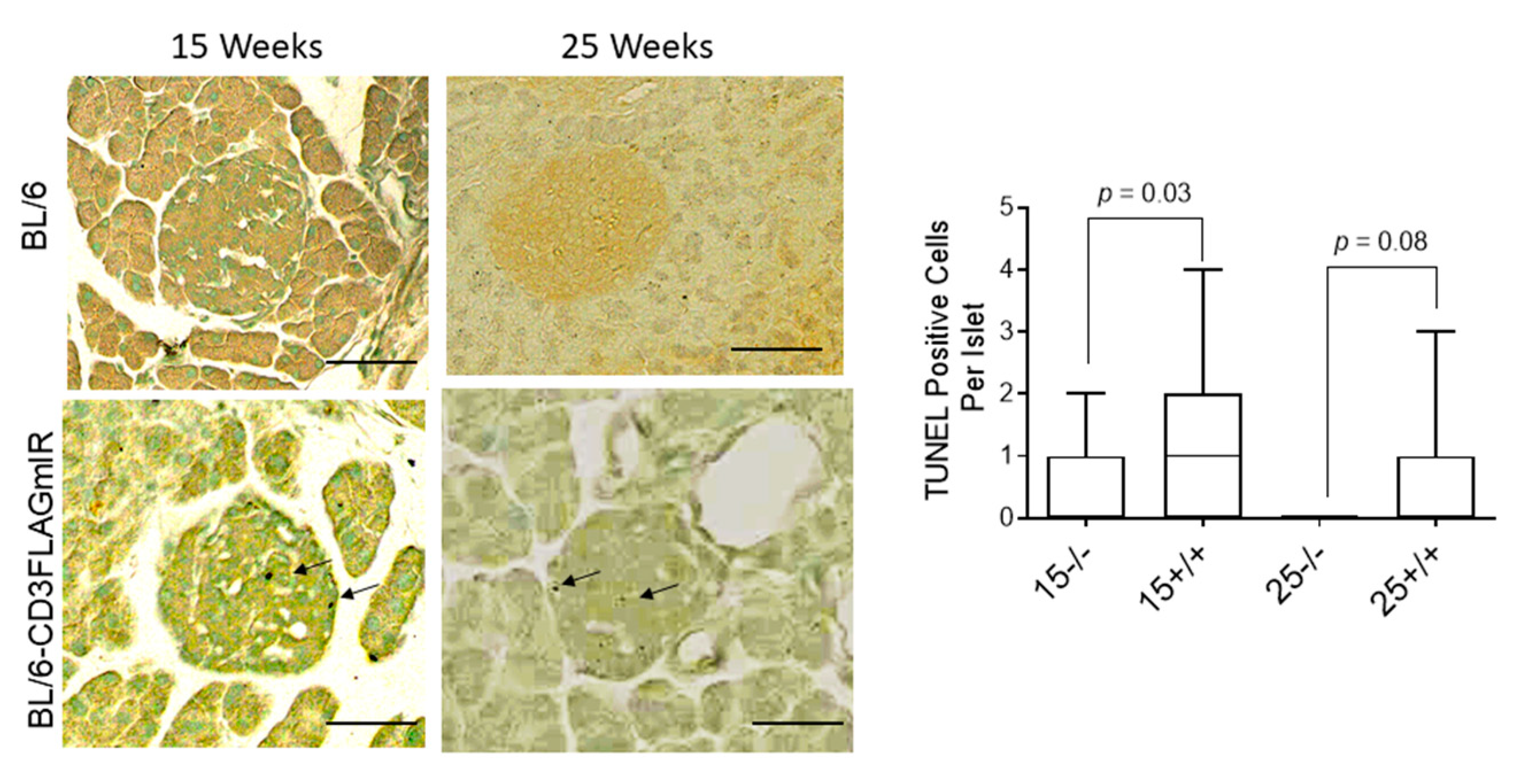 Biomolecules 11 00552 g006