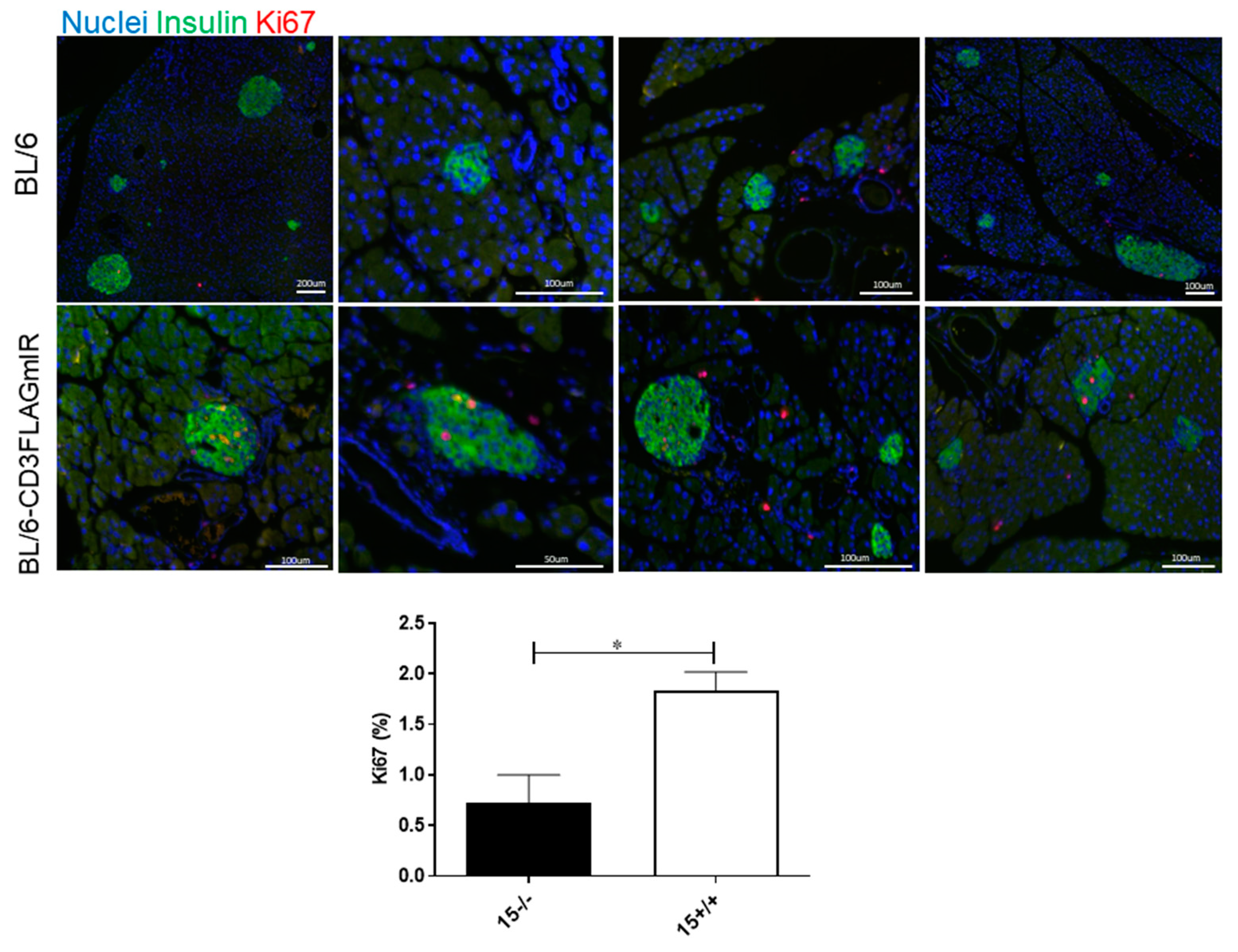 Biomolecules 11 00552 g010