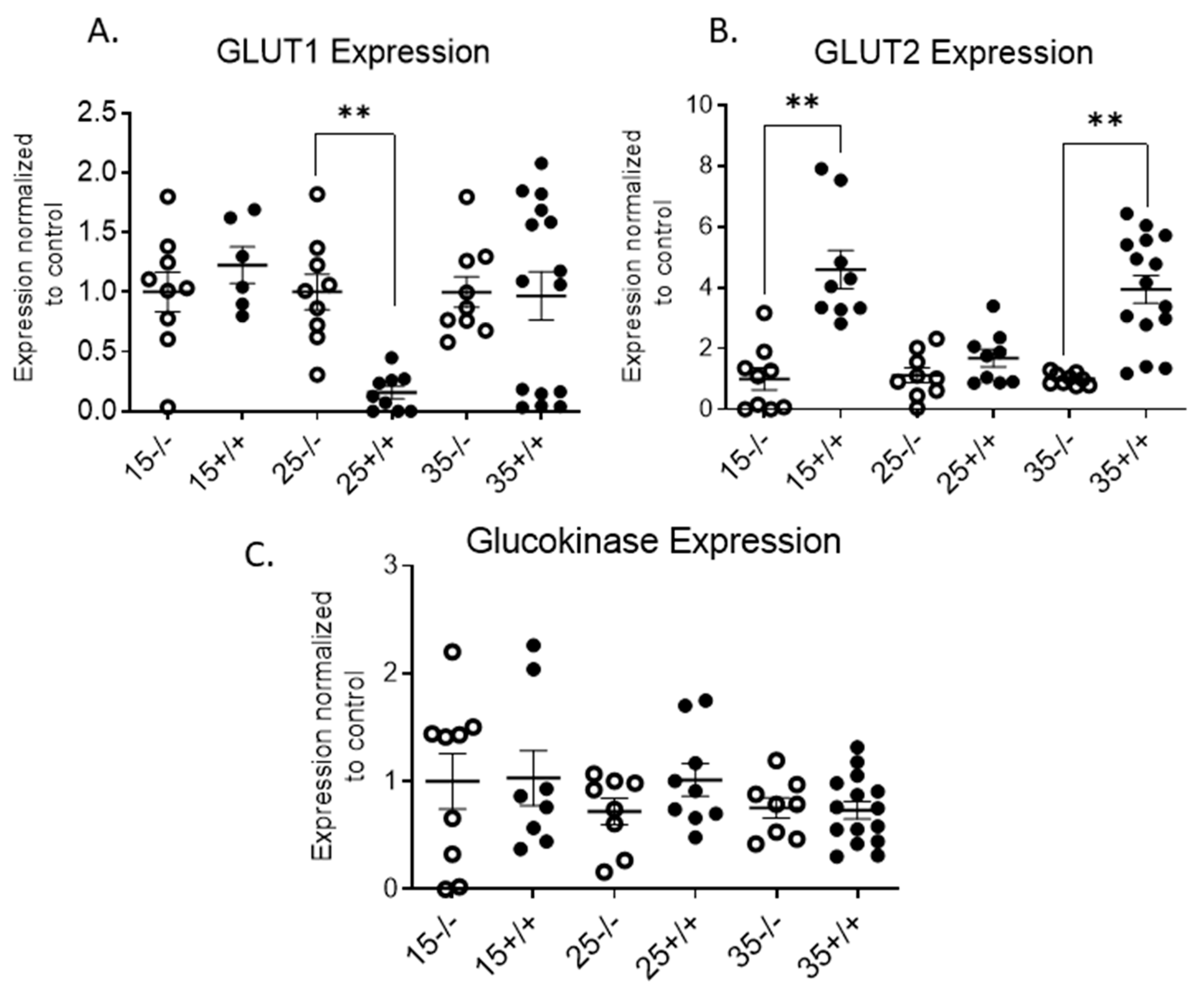Biomolecules 11 00552 g011
