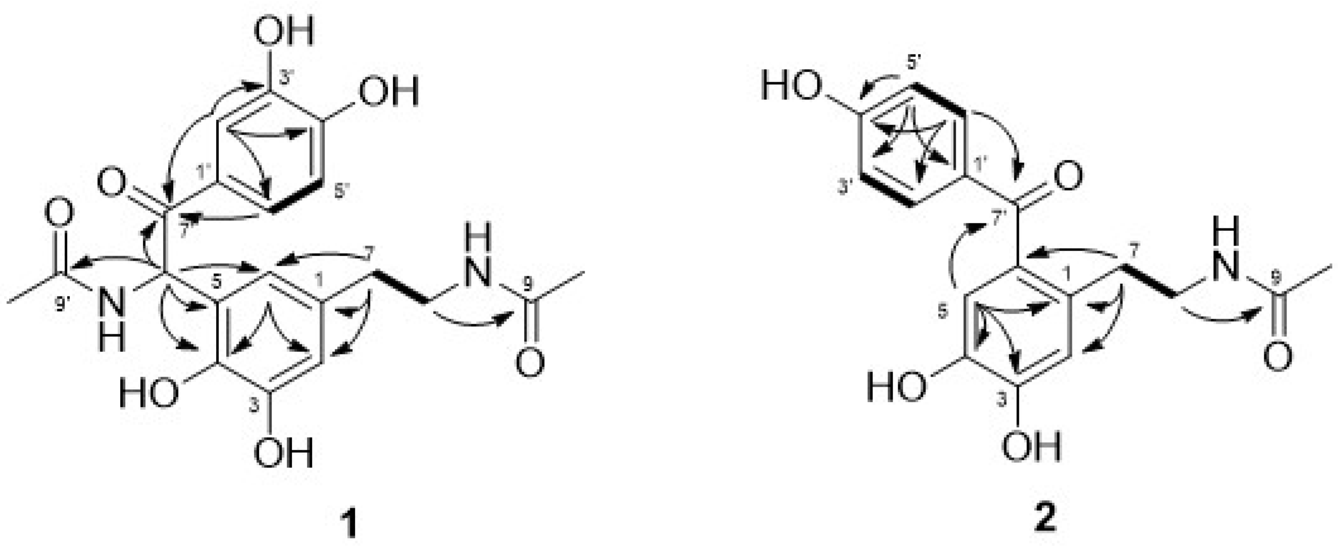 Biomolecules 11 00556 g002