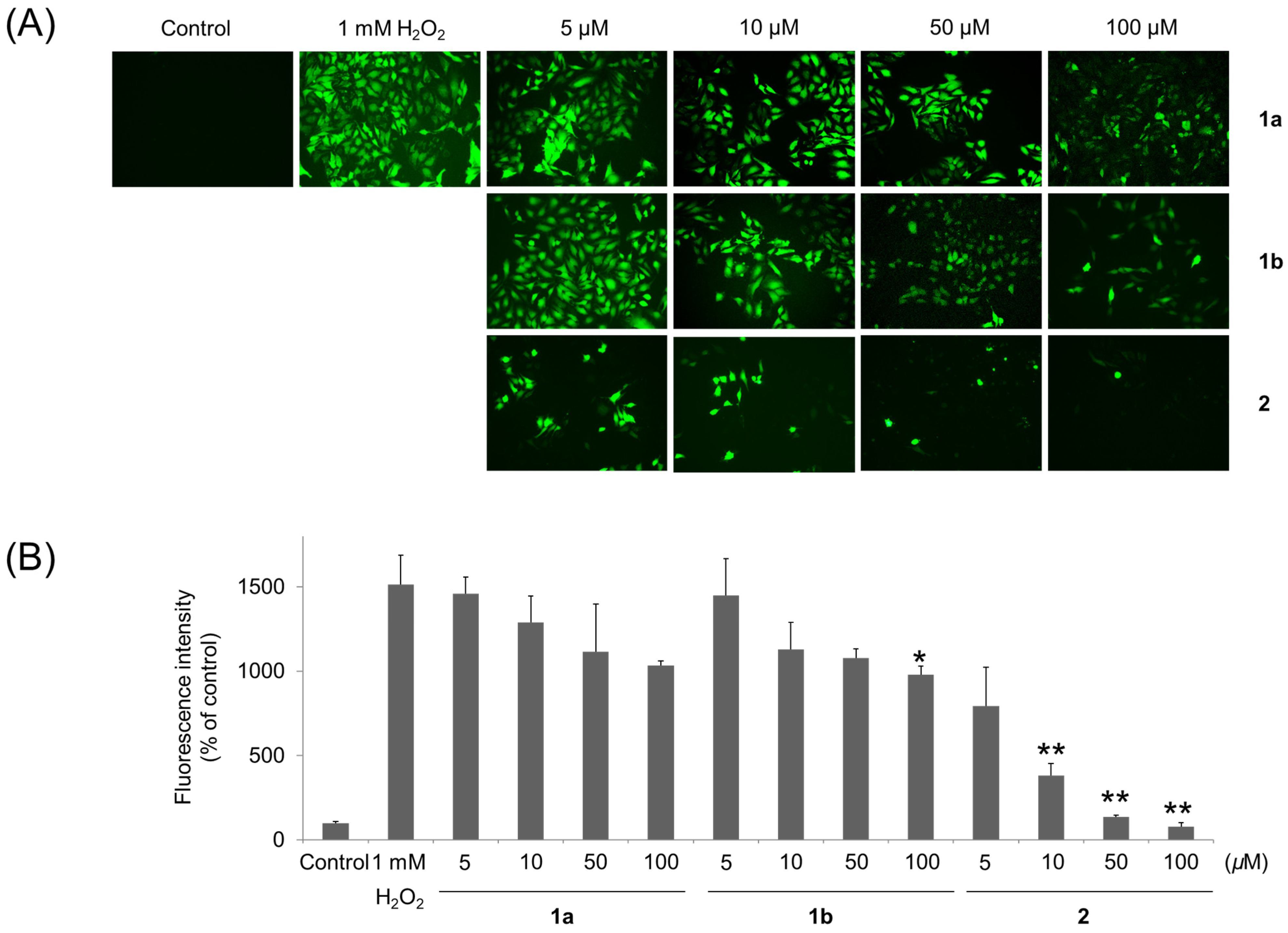 Biomolecules 11 00556 g005