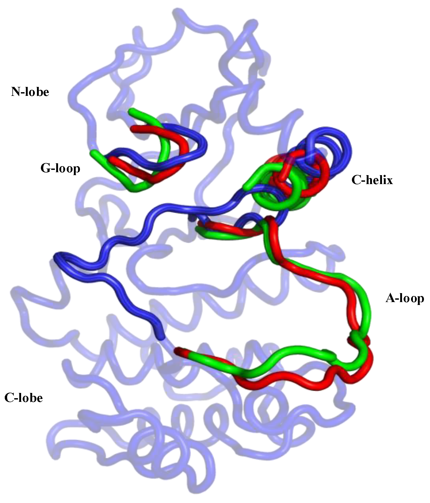 Biomolecules 11 00567 g002 Biomolecules 11 00567 g002