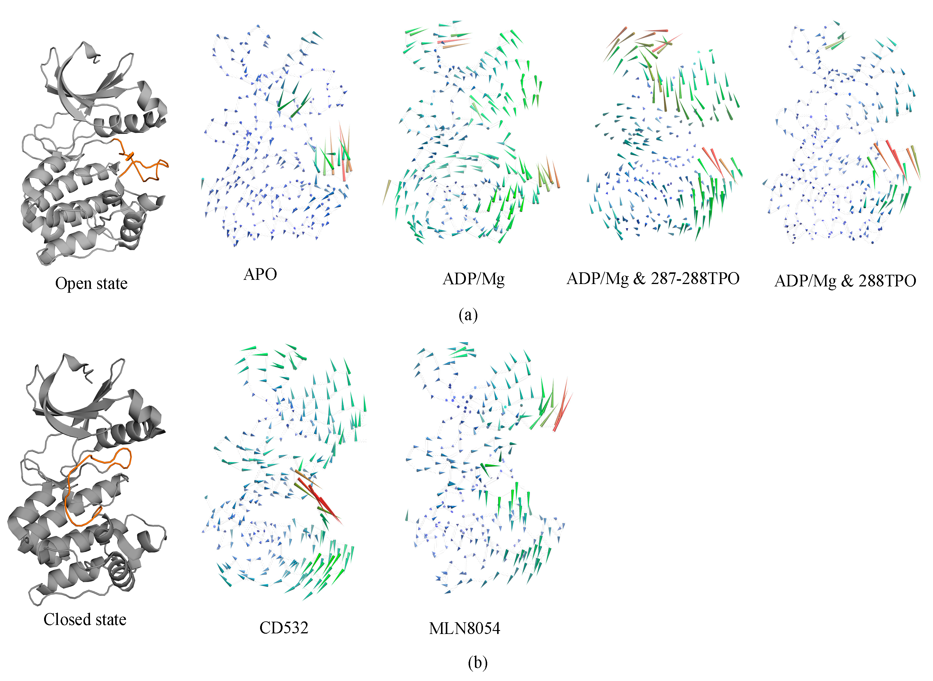 Biomolecules 11 00567 g006 Biomolecules 11 00567 g006