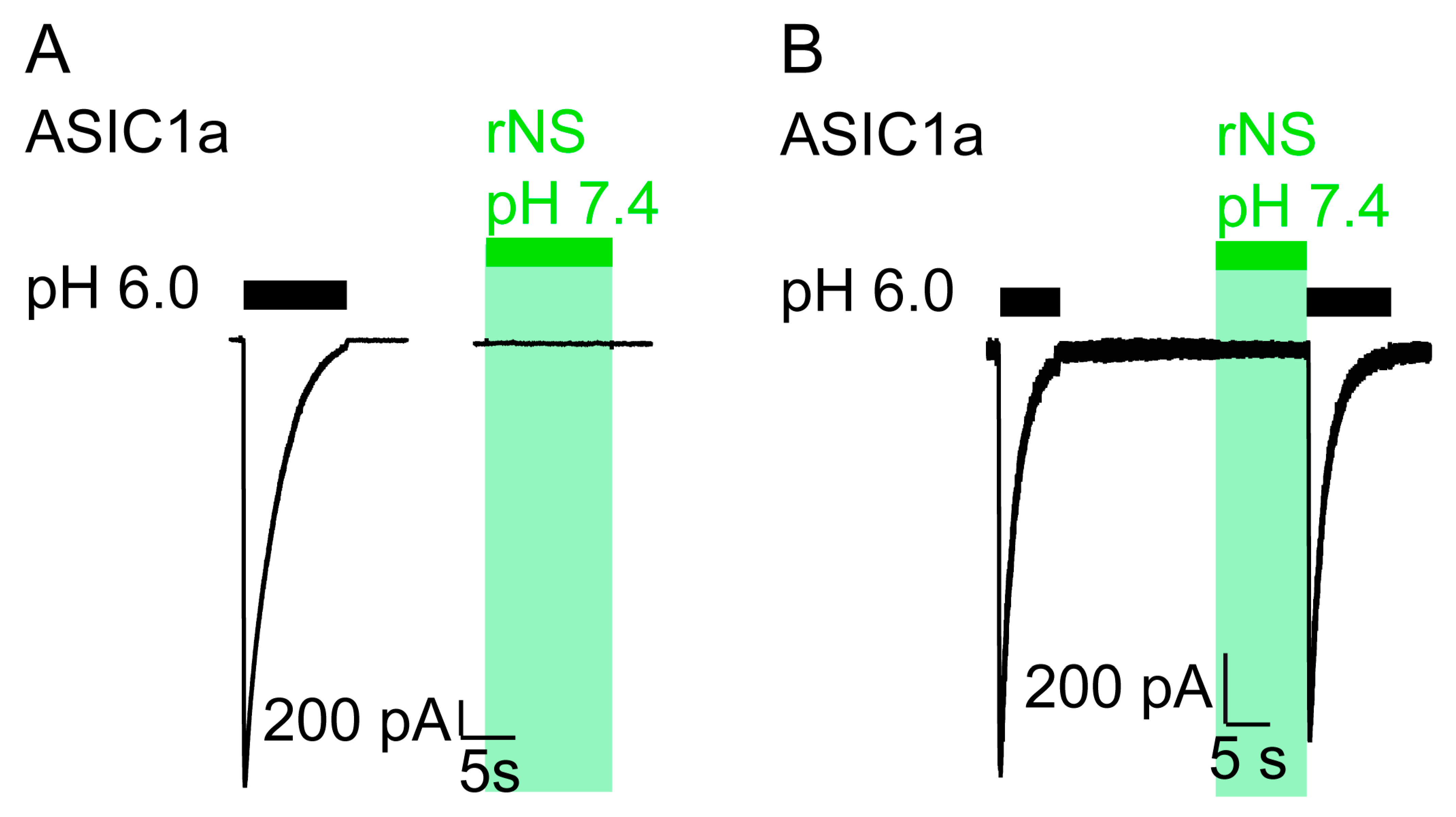 Biomolecules 11 00571 g002 Biomolecules 11 00571 g002