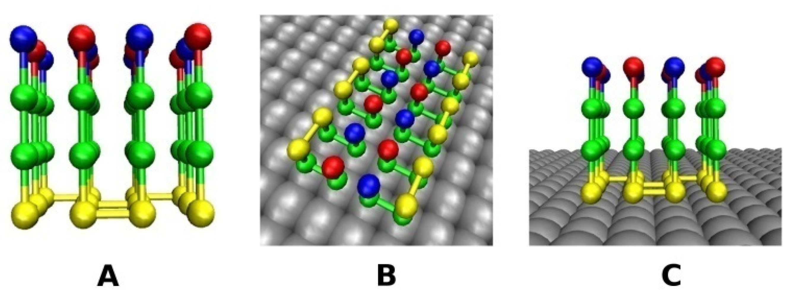Biomolecules 11 00596 g002a