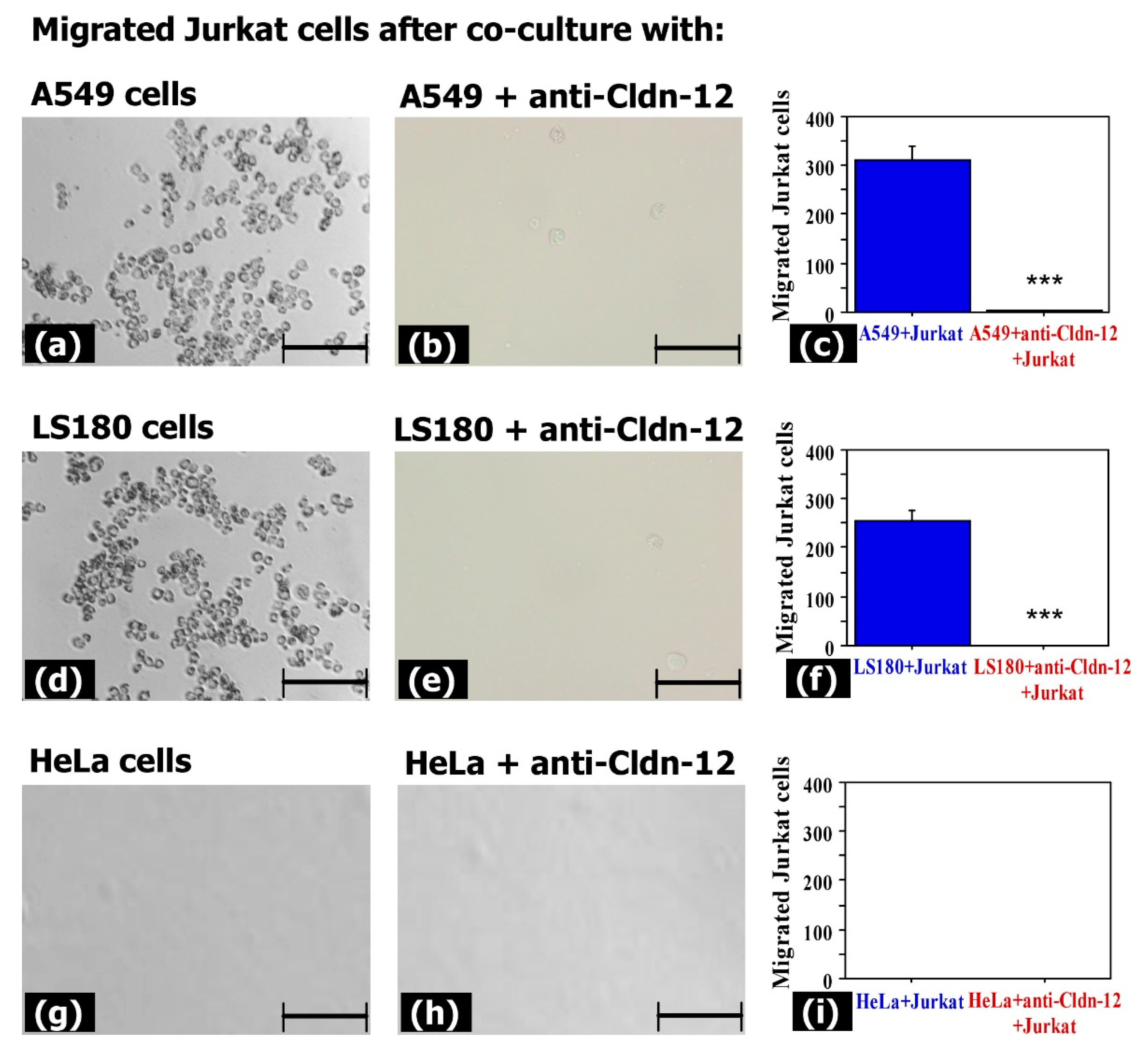 Biomolecules 11 00636 g007