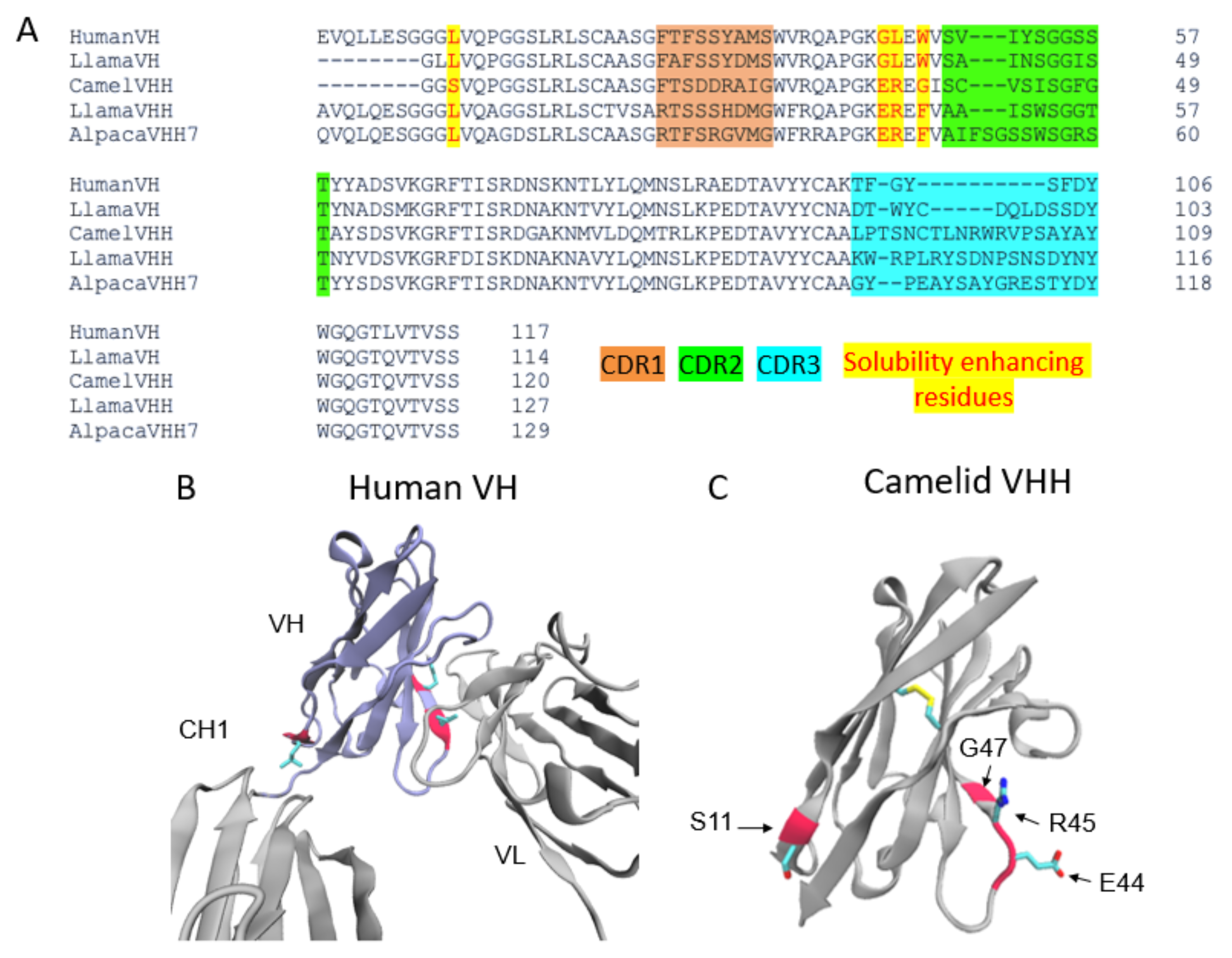 Biomolecules 11 00637 g002