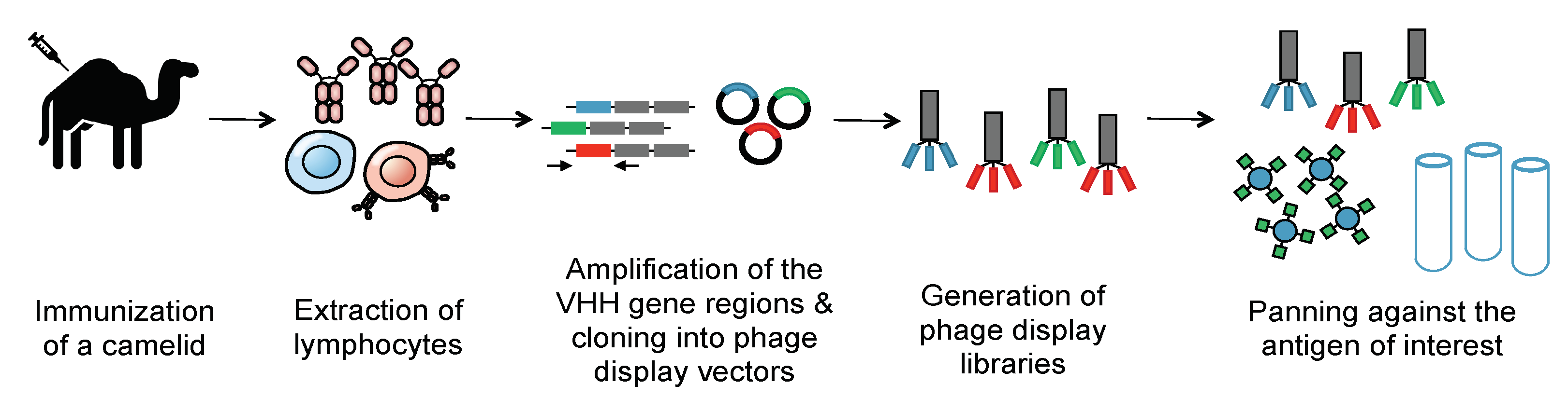 Biomolecules 11 00637 g003
