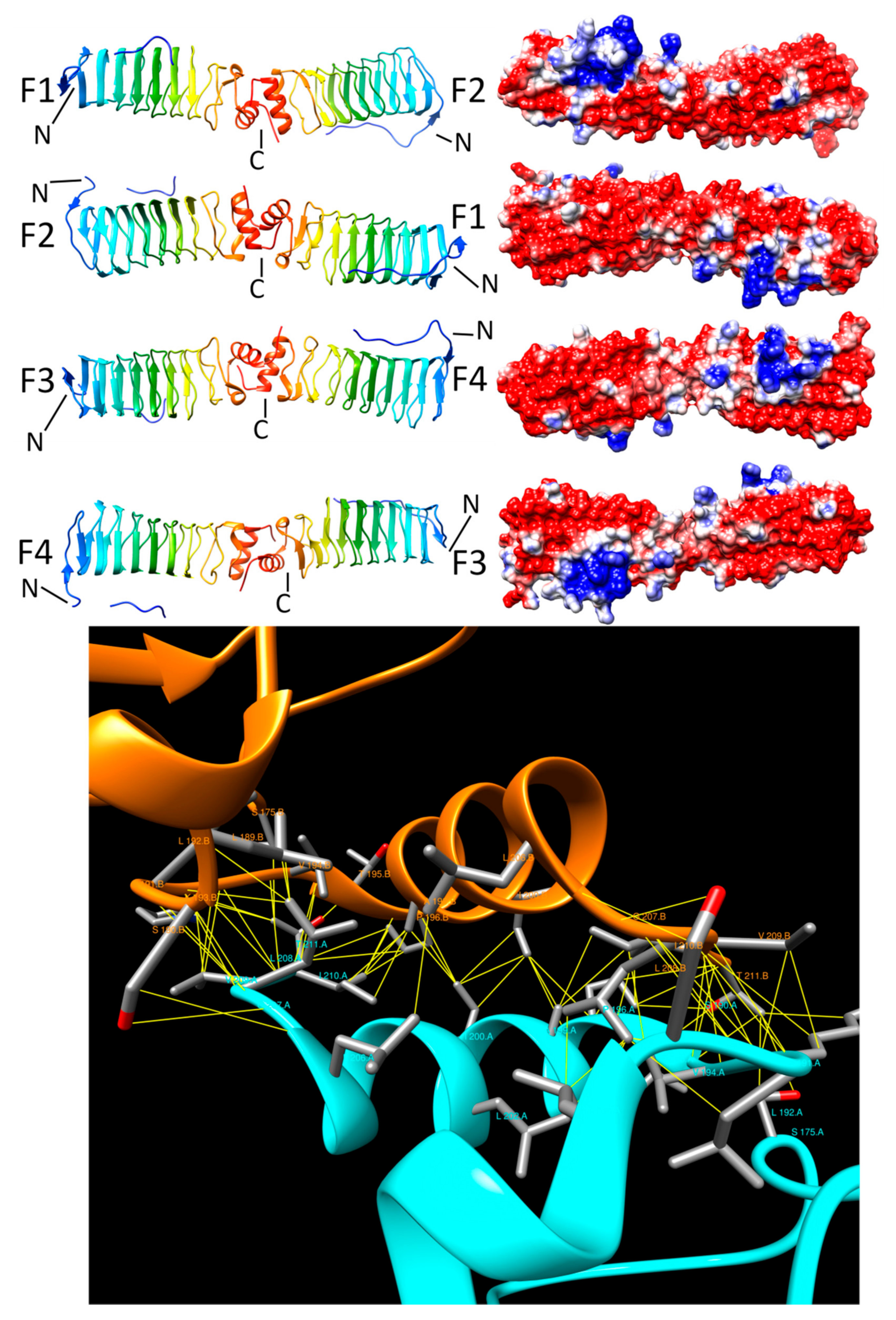 Biomolecules 11 00638 g005 Biomolecules 11 00638 g005
