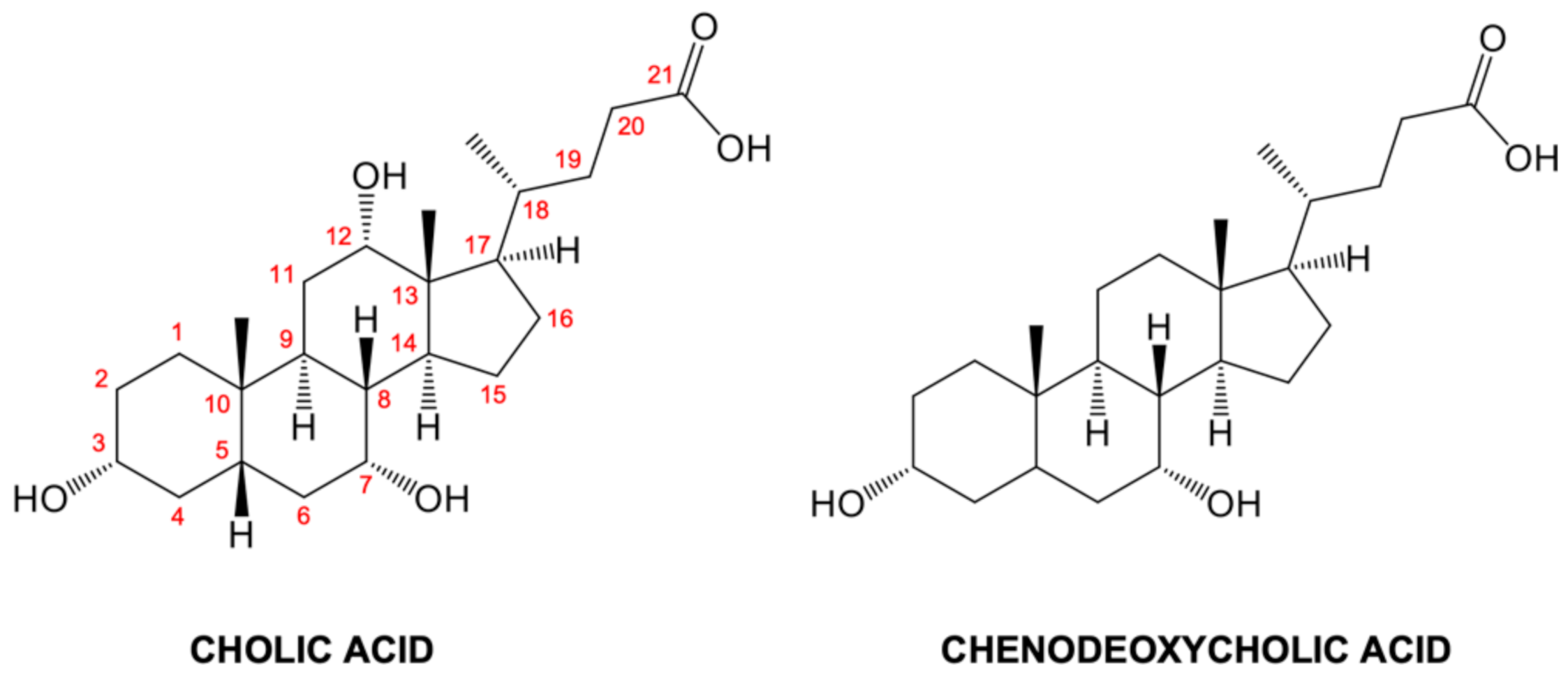Biomolecules 11 00645 g001 Biomolecules 11 00645 g001