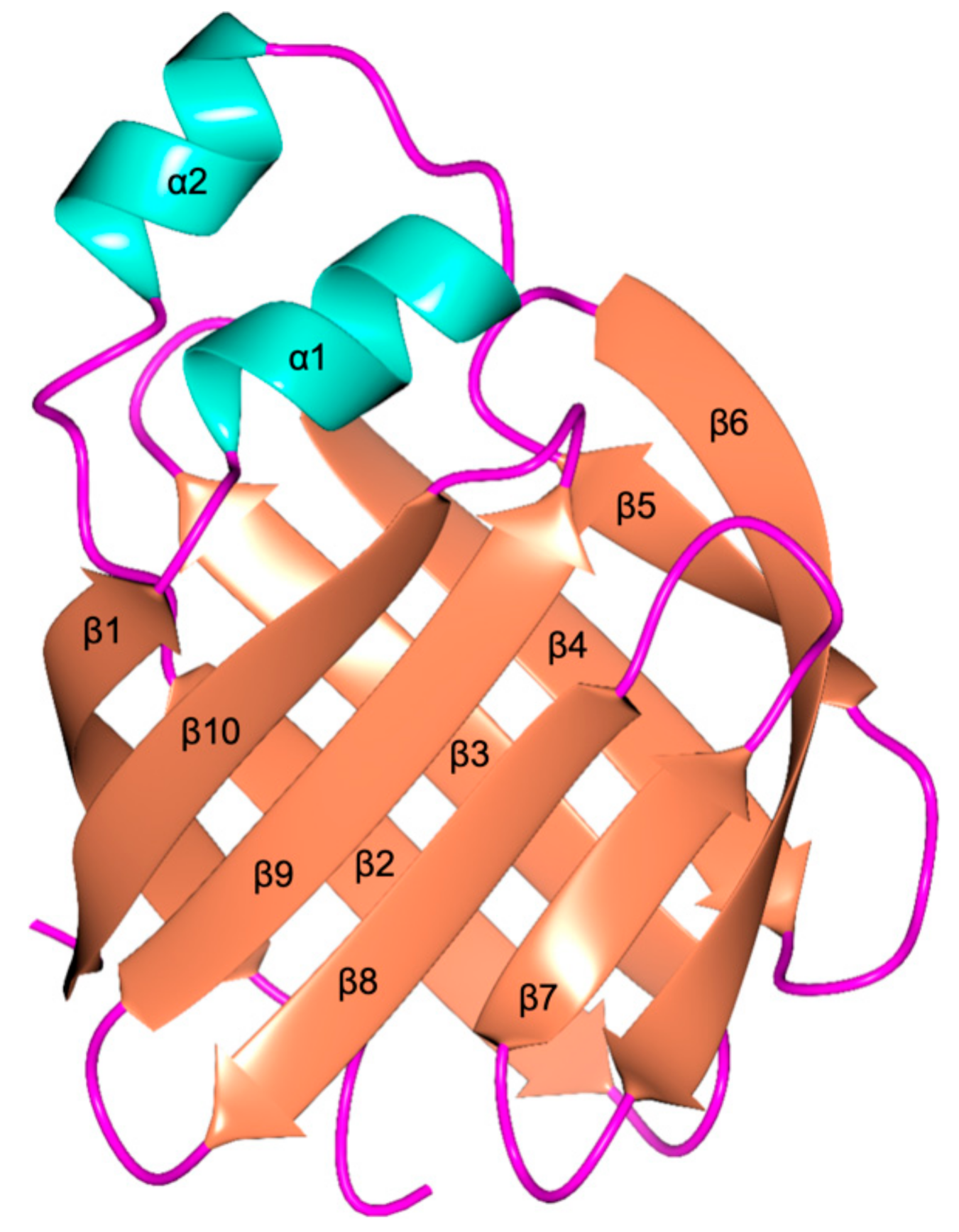 Biomolecules 11 00645 g004 Biomolecules 11 00645 g004