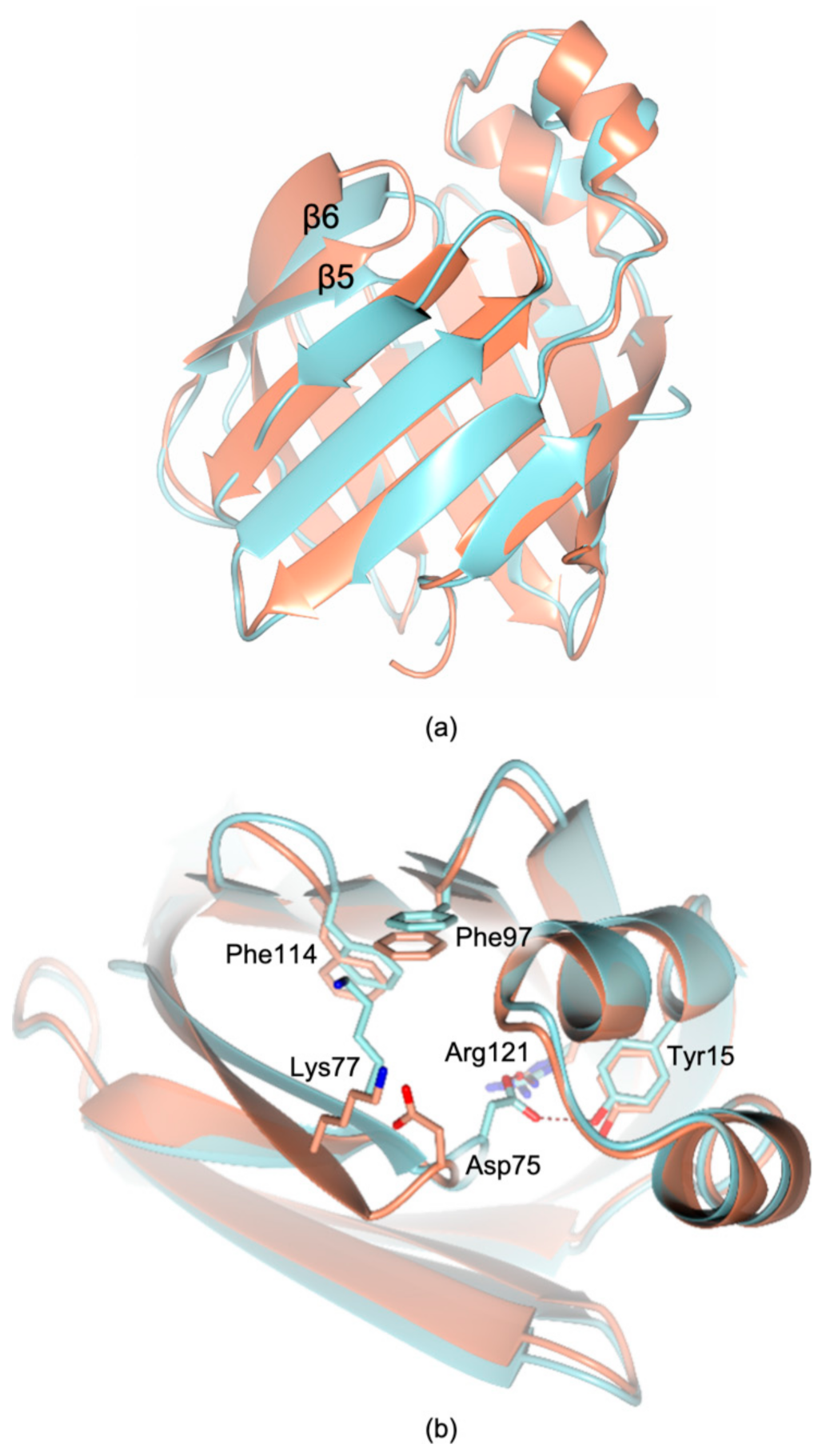 Biomolecules 11 00645 g005 Biomolecules 11 00645 g005