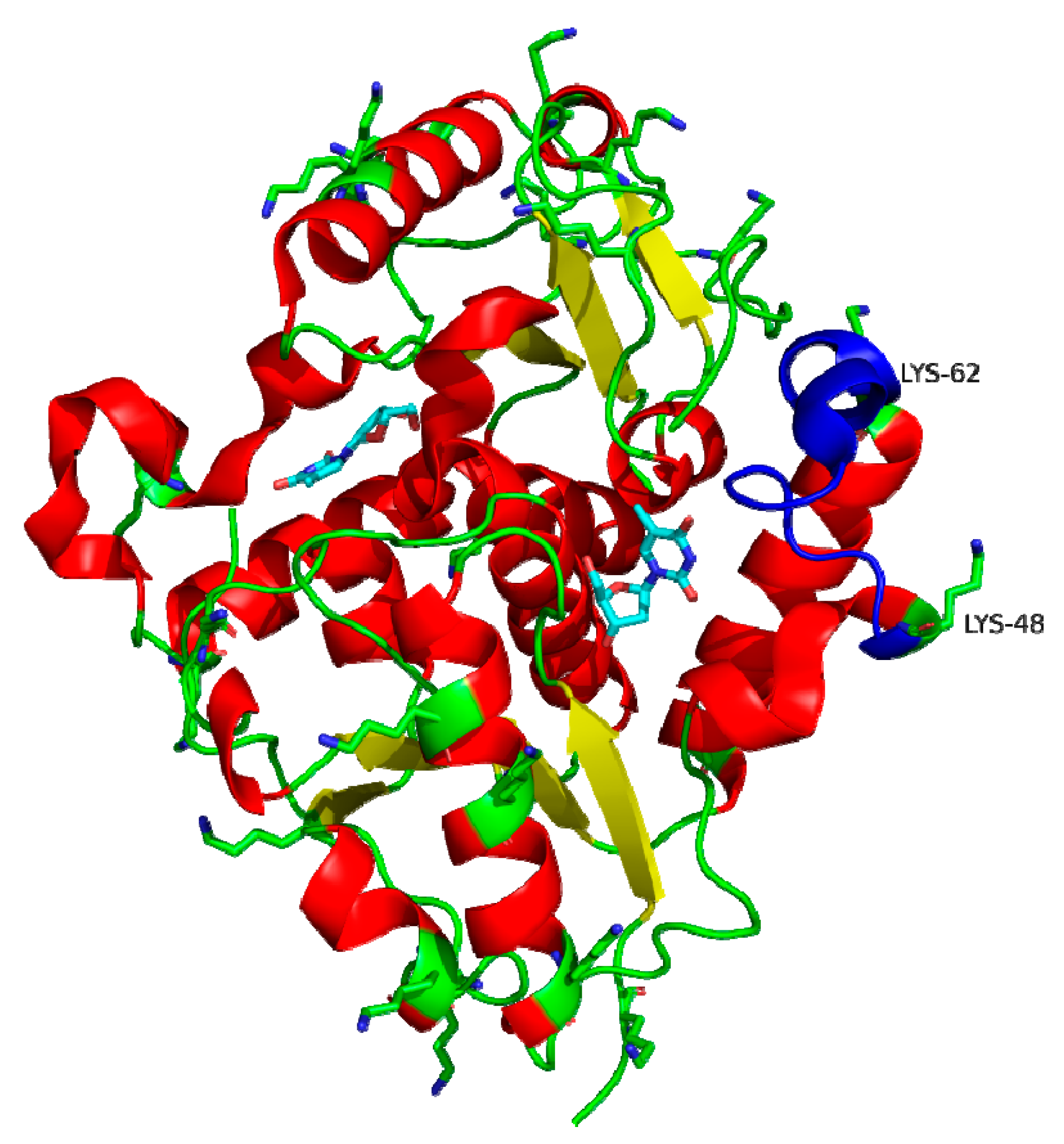 Biomolecules 11 00657 g002 Biomolecules 11 00657 g002
