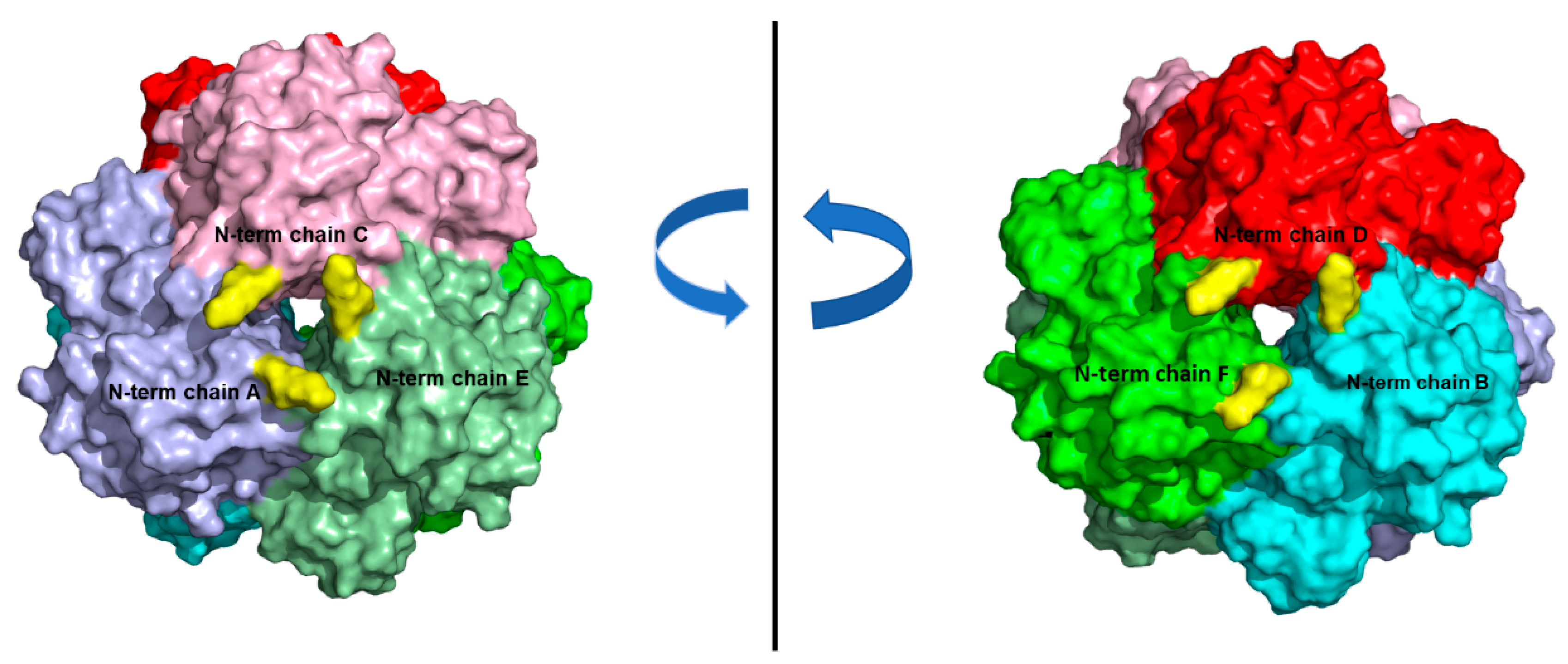 Biomolecules 11 00657 g005 Biomolecules 11 00657 g005