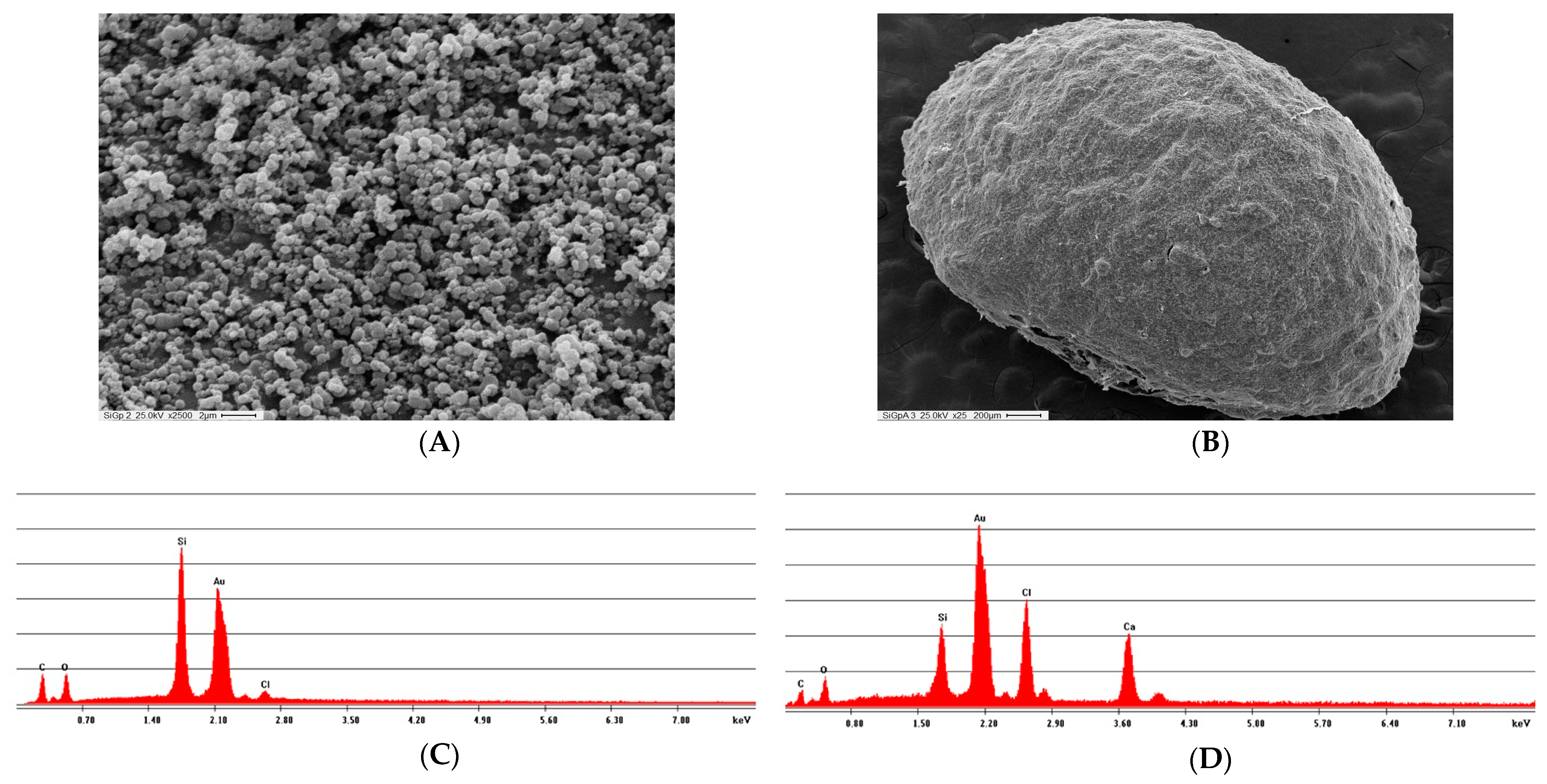 Biomolecules 11 00657 g006 Biomolecules 11 00657 g006