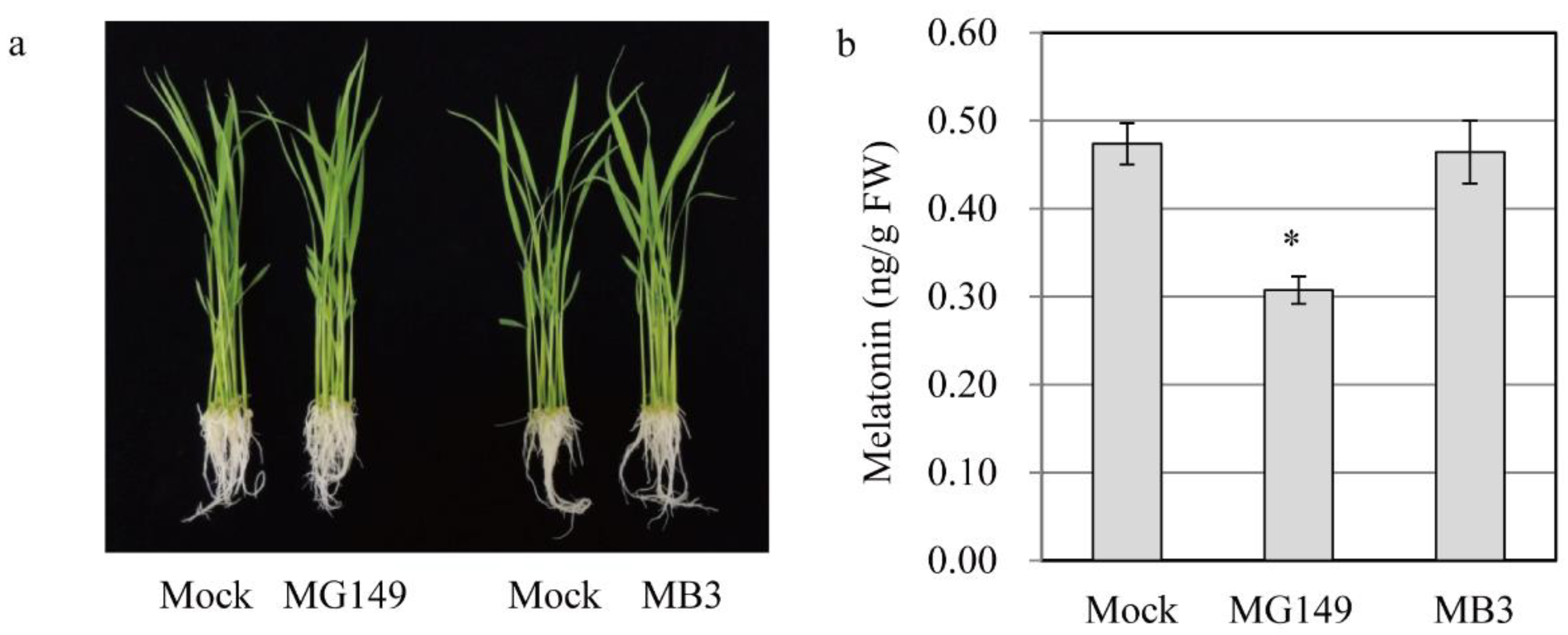 Biomolecules 11 00658 g003