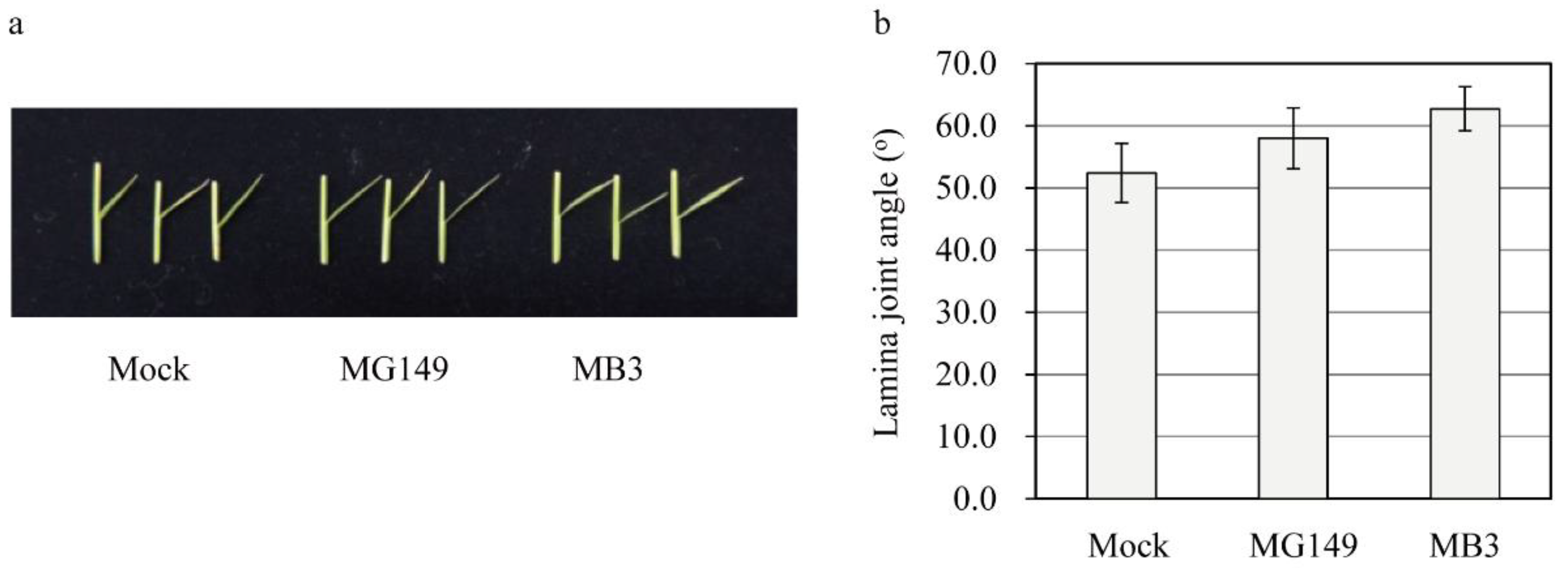 Biomolecules 11 00658 g005