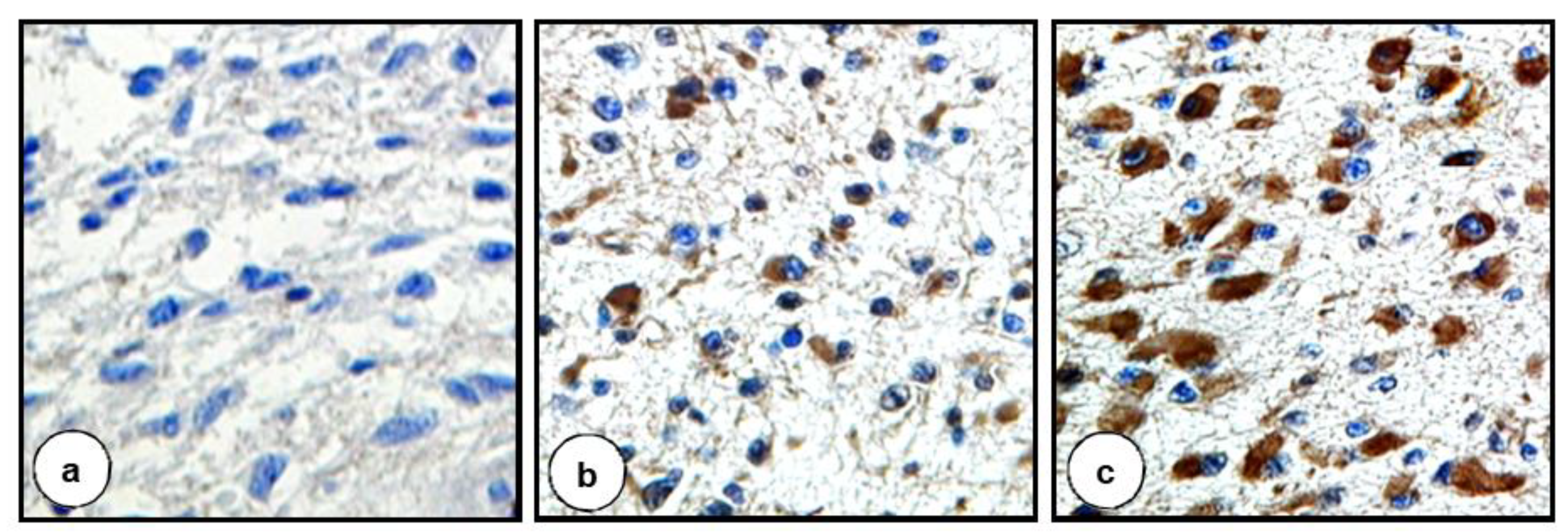 Biomolecules 11 00663 g001