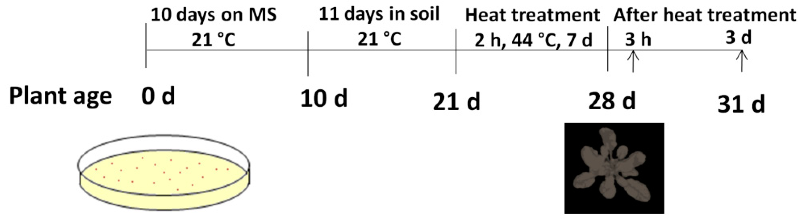 Biomolecules 11 00668 g001 Biomolecules 11 00668 g001