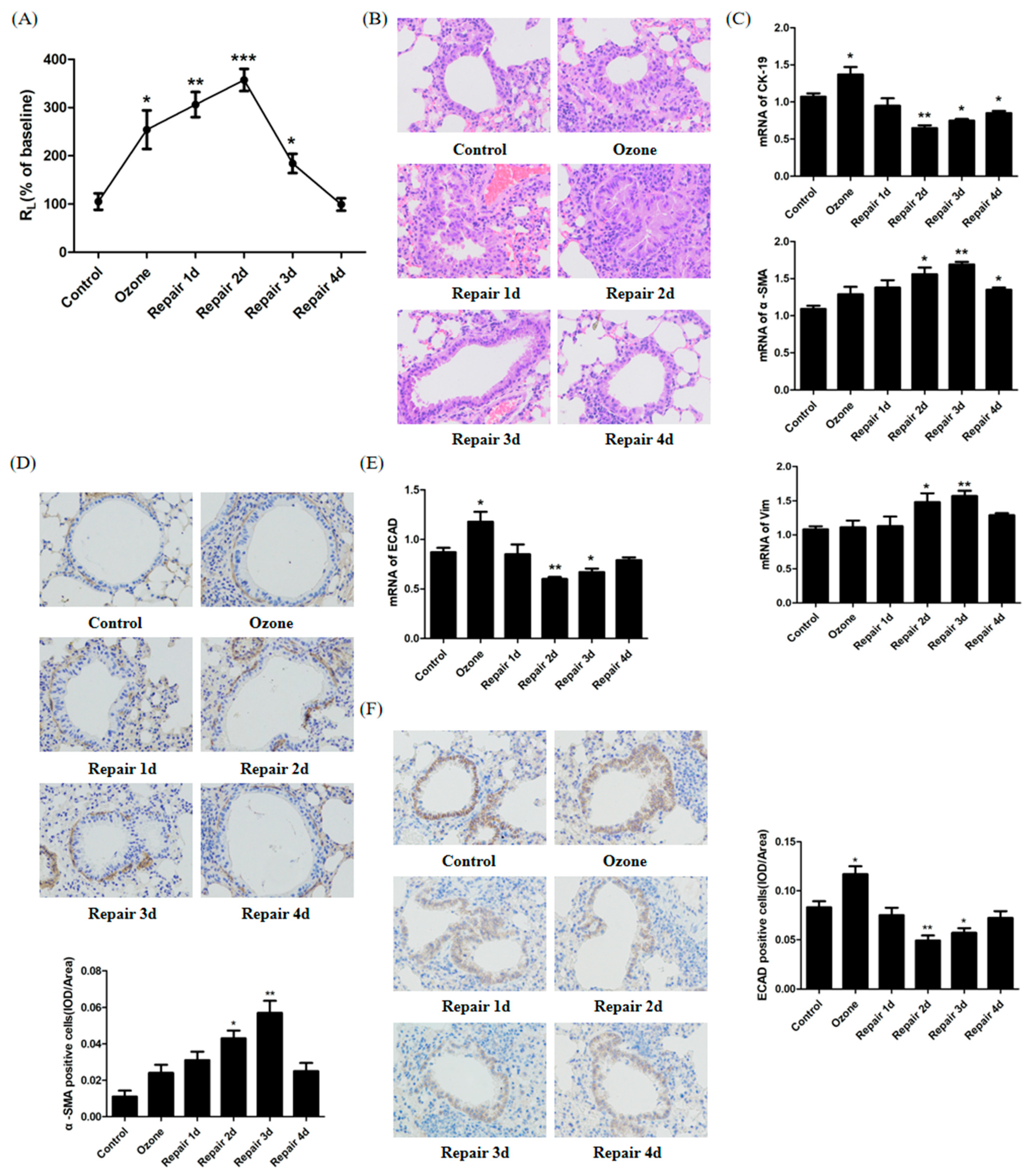 Biomolecules 11 00669 g001