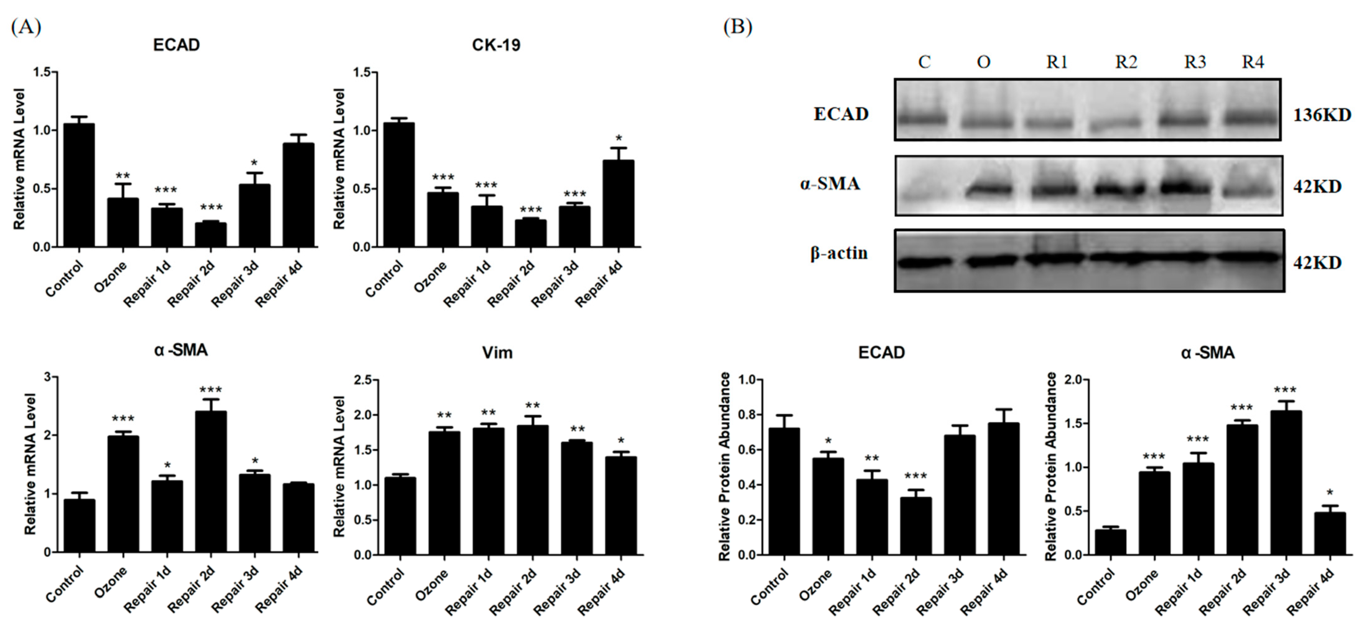 Biomolecules 11 00669 g002